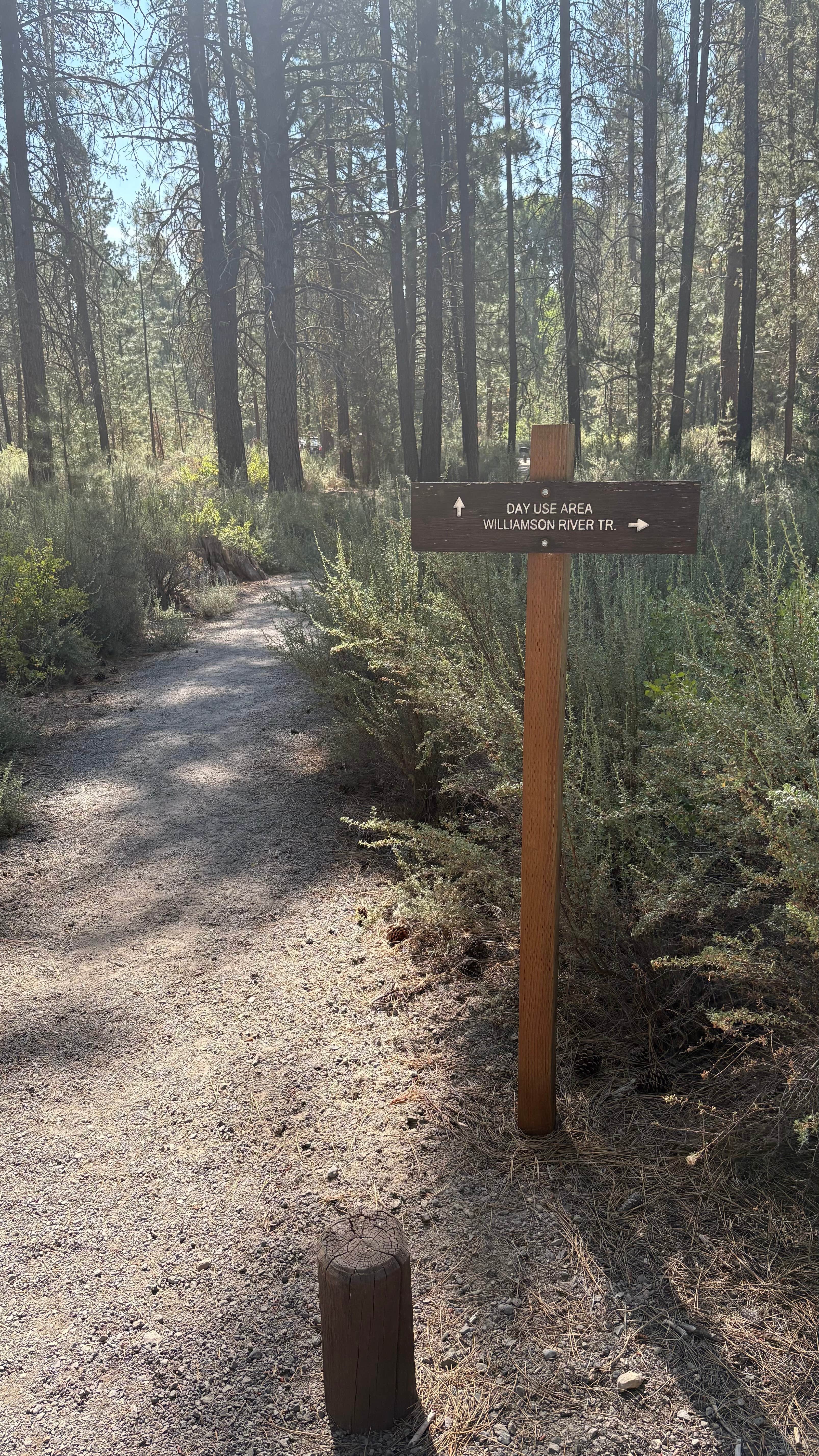 Camper-submitted photo at Williamson River, OR. USFS 9730 near Fort Klamath, OR