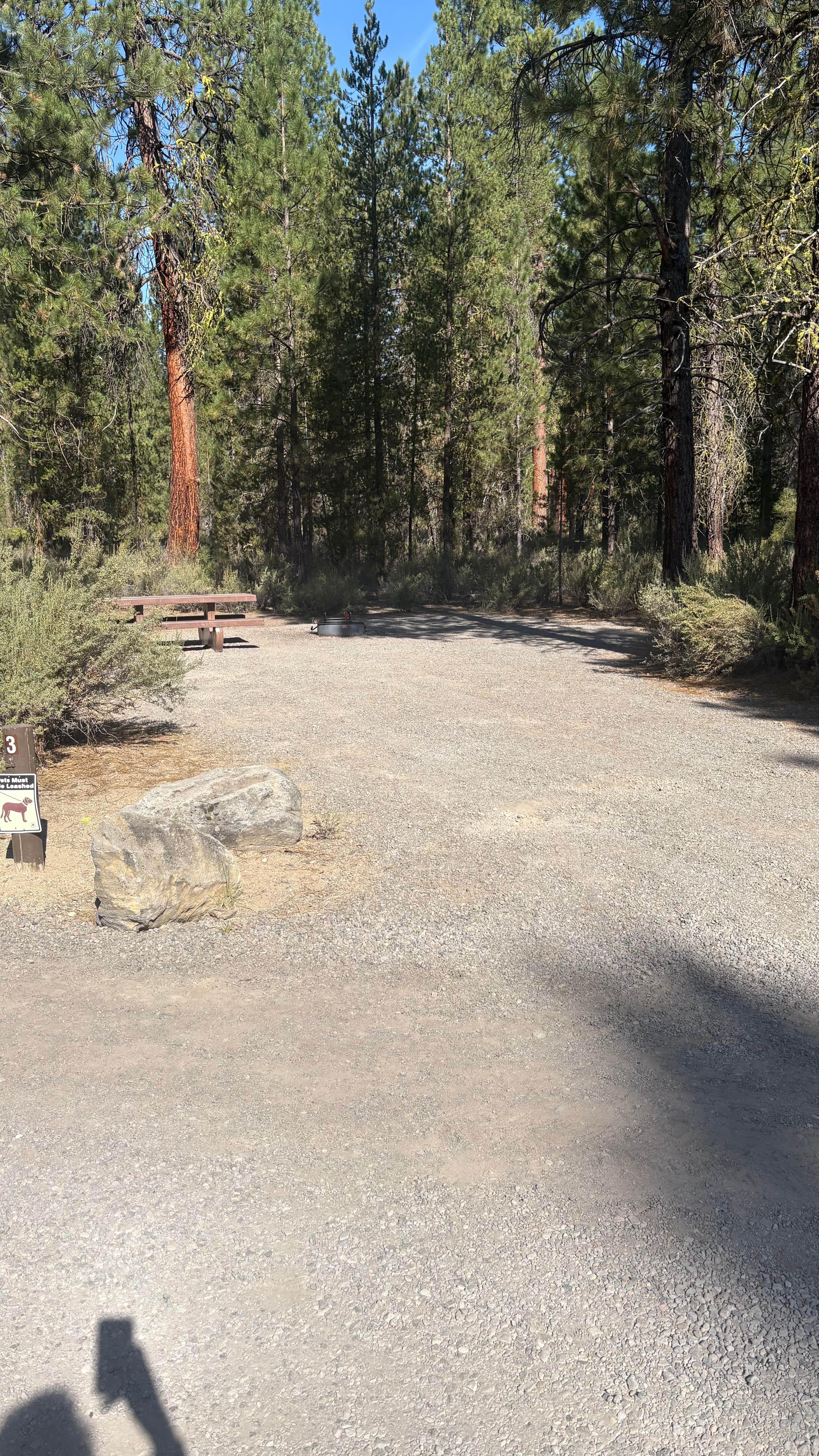 Camper-submitted photo at Williamson River, OR. USFS 9730 near Fort Klamath, OR