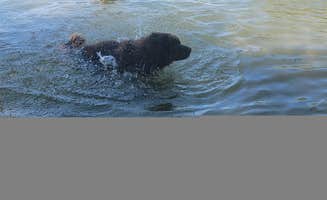 Jodi S.'s photo of camping with pets at Willow Bay RV Resort & Marina near Tumtum, WA