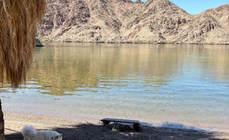 Larry  L.'s photo of camping with pets at Willow Beach Campground and RV Park near Willow Beach, AZ