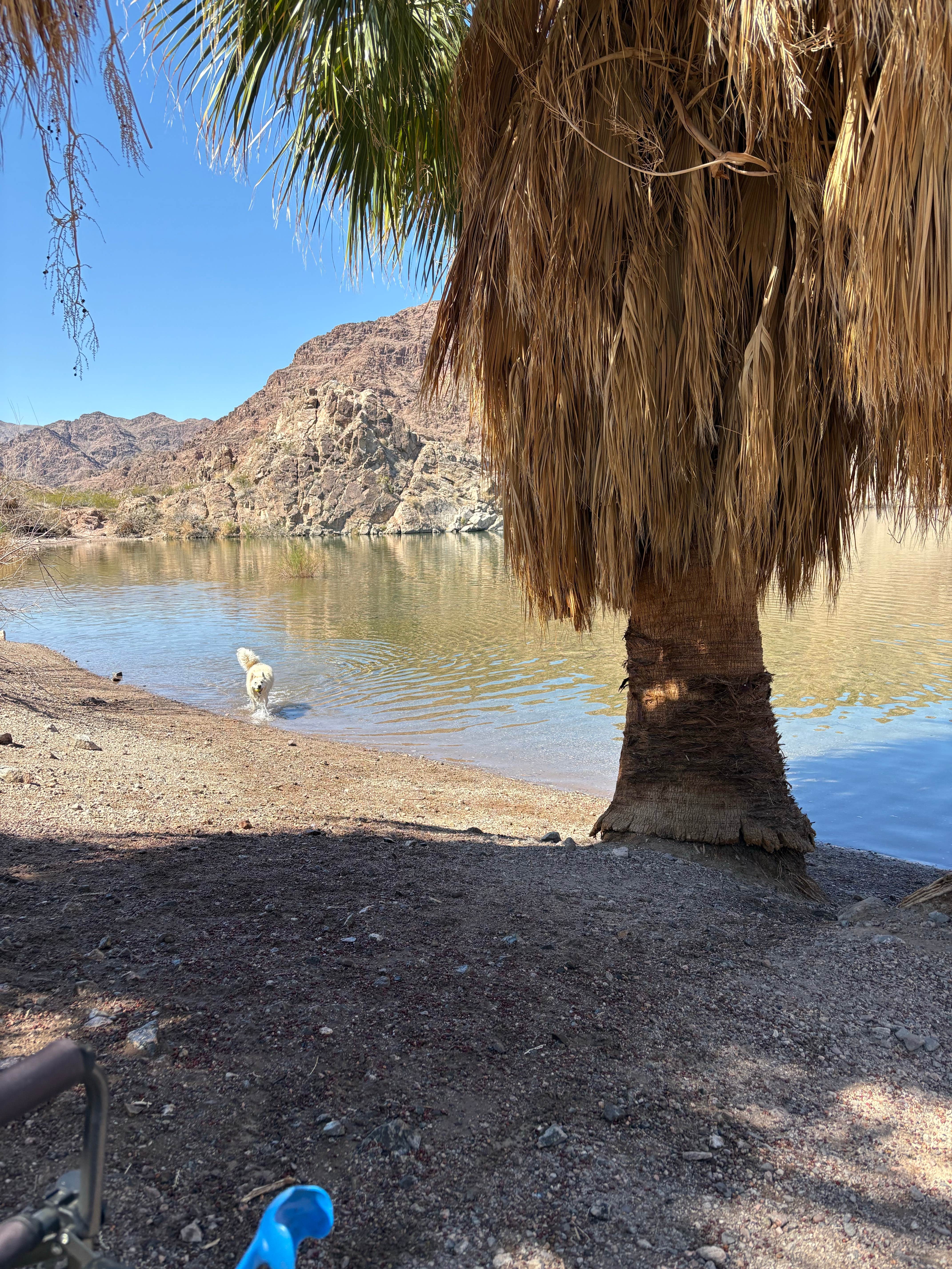 Camper-submitted photo at Willow Beach Campground and RV Park near Lake Mead National Recreation Area