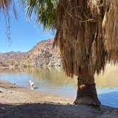 Review photo of Willow Beach Campground and RV Park by Larry L., March 19, 2025