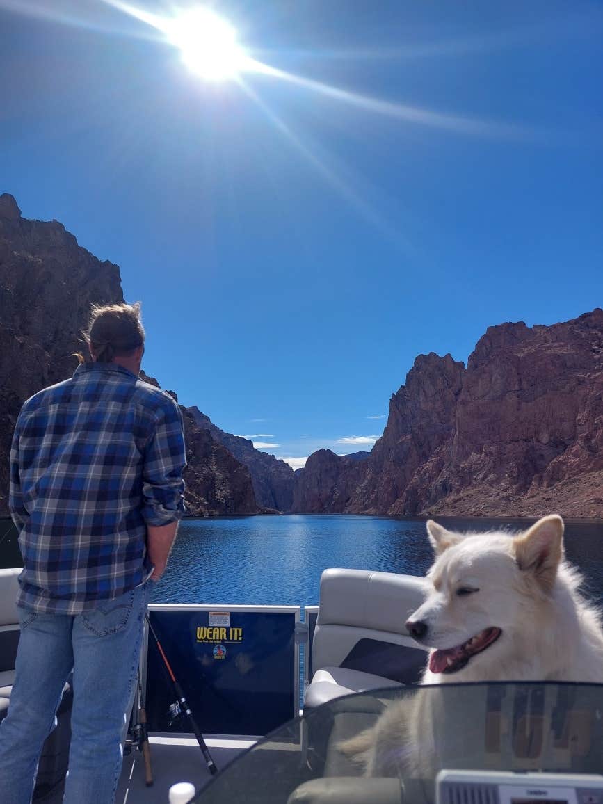 Larry  L.'s photo of camping with pets at Willow Beach Campground and RV Park near Searchlight, NV