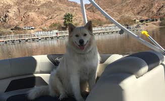 Larry L.'s photo of camping with pets at Willow Beach Campground and RV Park near Temple Bar Marina, AZ