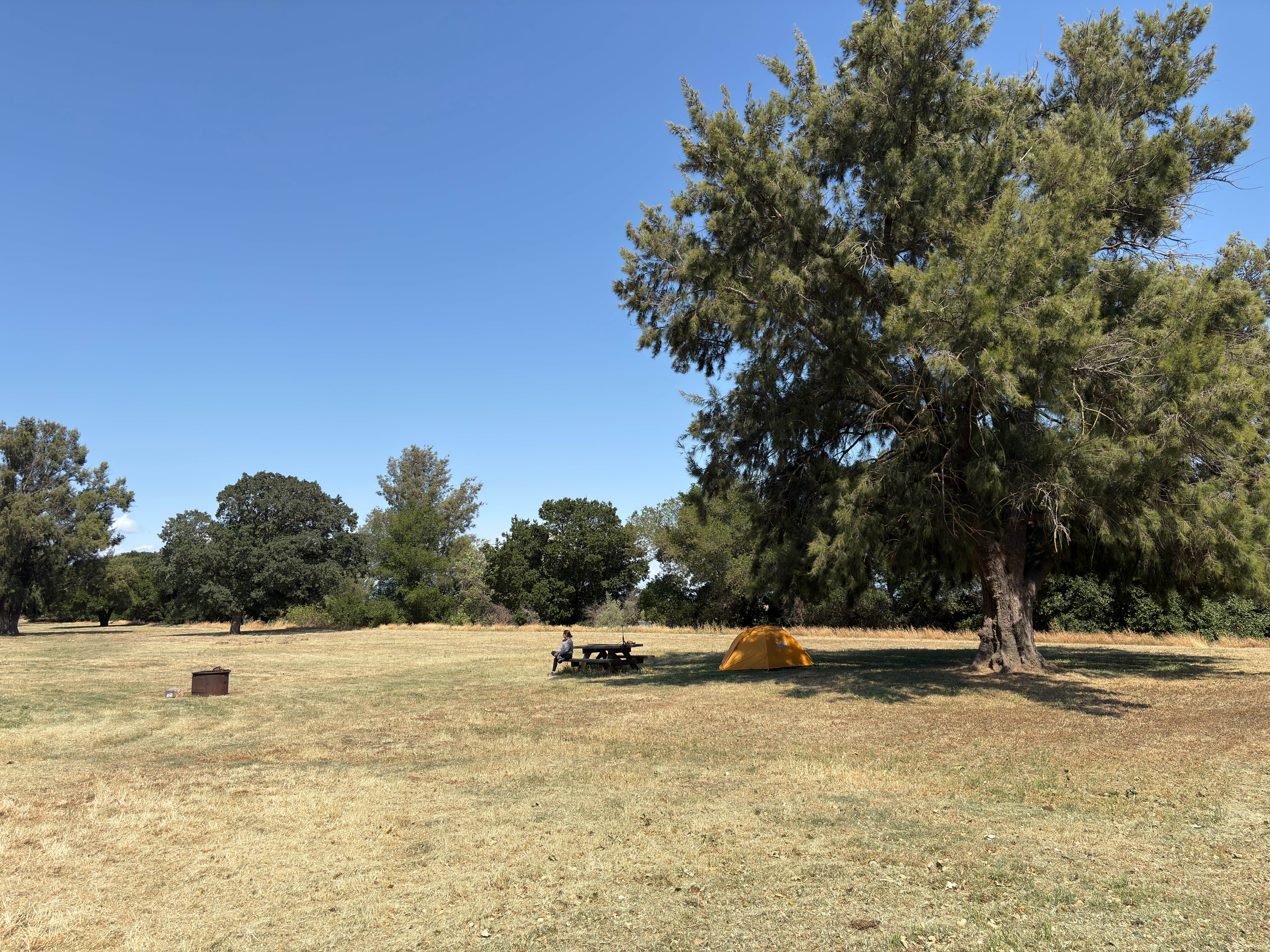Camper submitted image from Willow Campground — Brannan Island State Recreation Area - 1