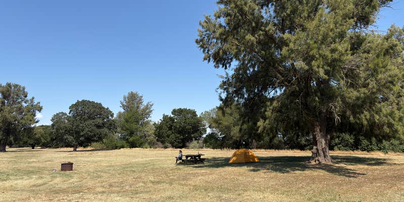 Camper submitted image from Willow Campground — Brannan Island State Recreation Area