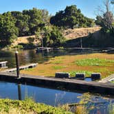 Review photo of Willow Campground — Brannan Island State Recreation Area by DJ Jazzy W., July 17, 2026