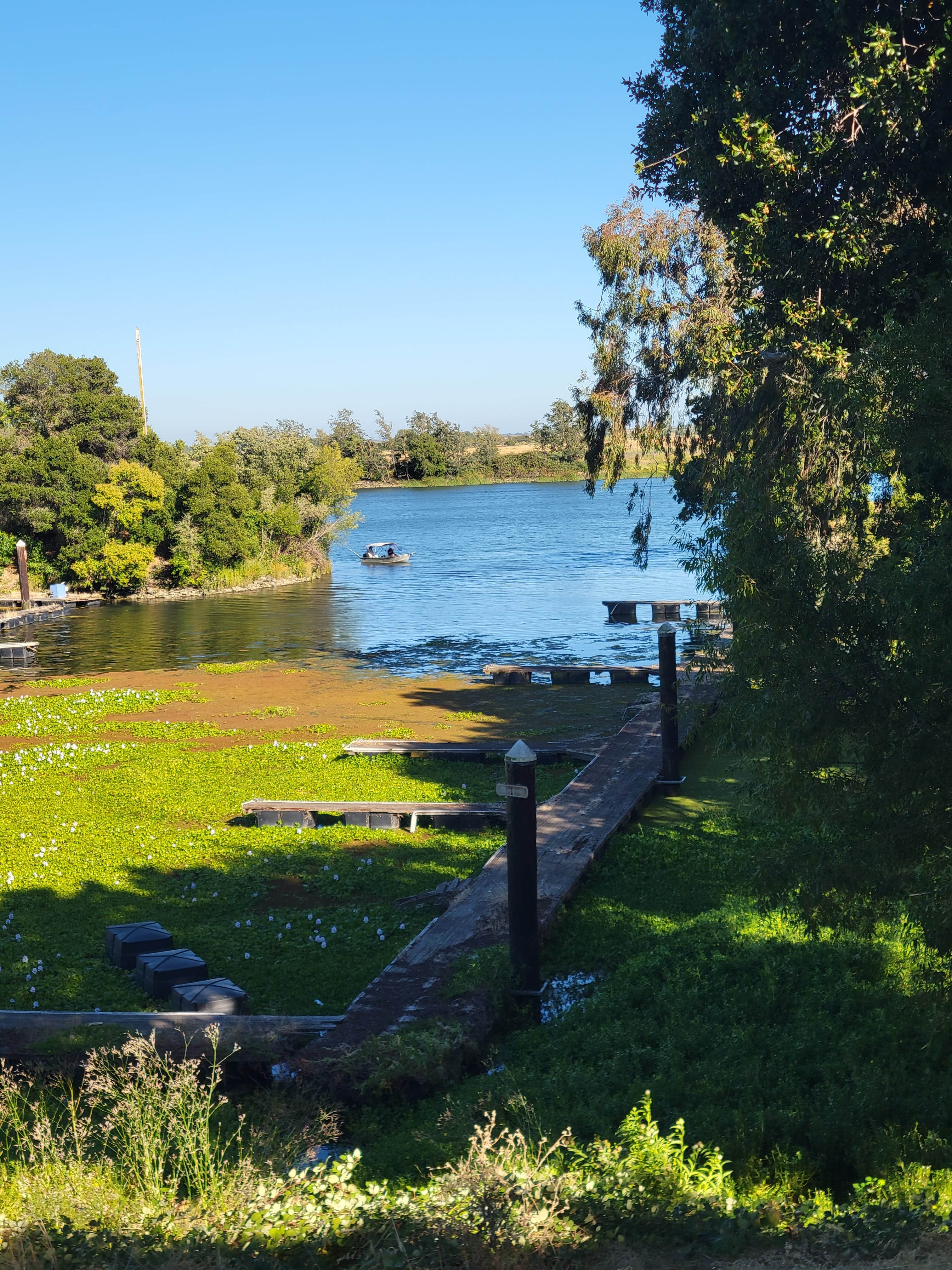 Camper-submitted photo at Willow Campground — Brannan Island State Recreation Area near Antioch, CA