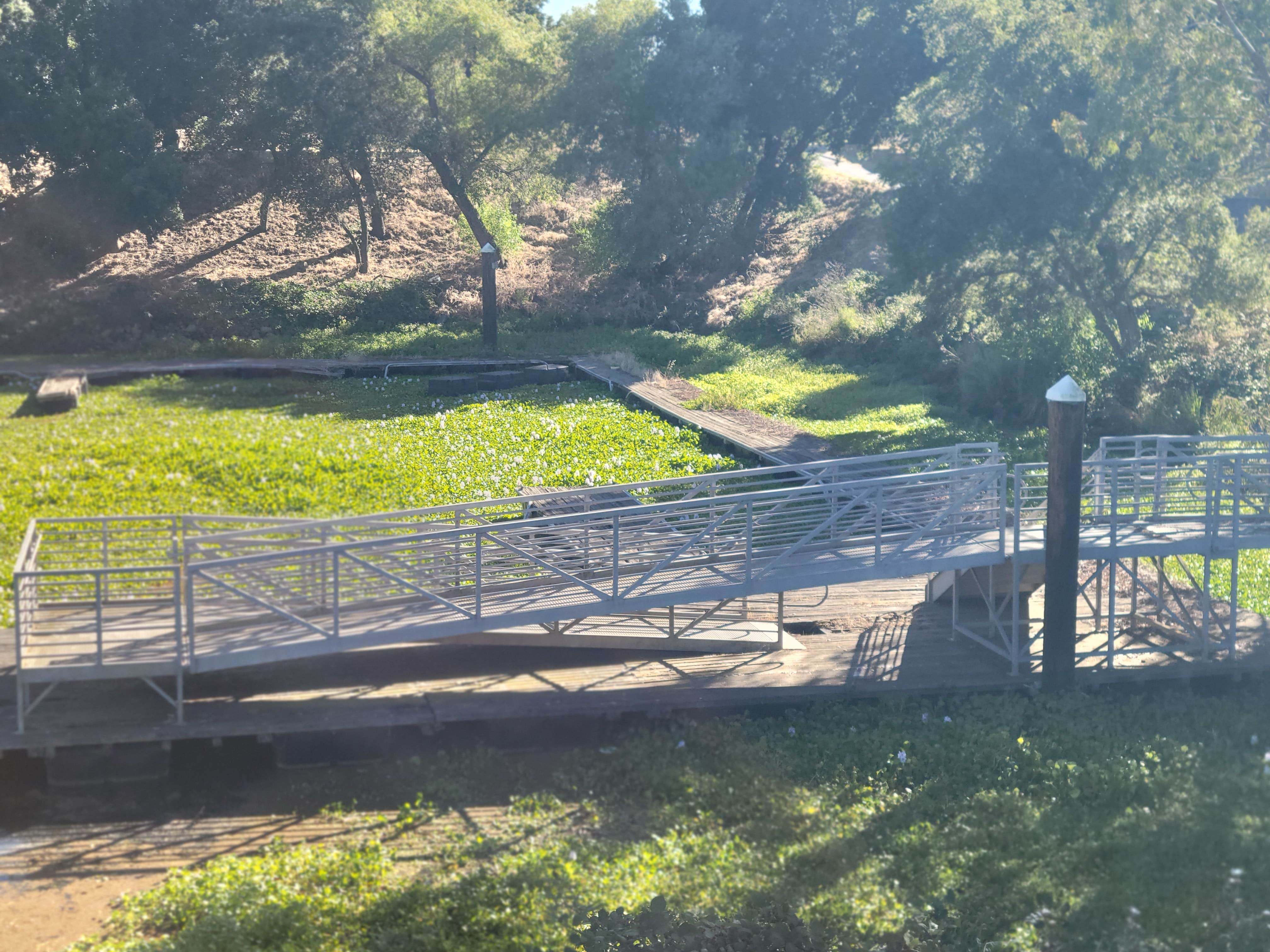 Camper-submitted photo at Willow Campground — Brannan Island State Recreation Area near Antioch, CA