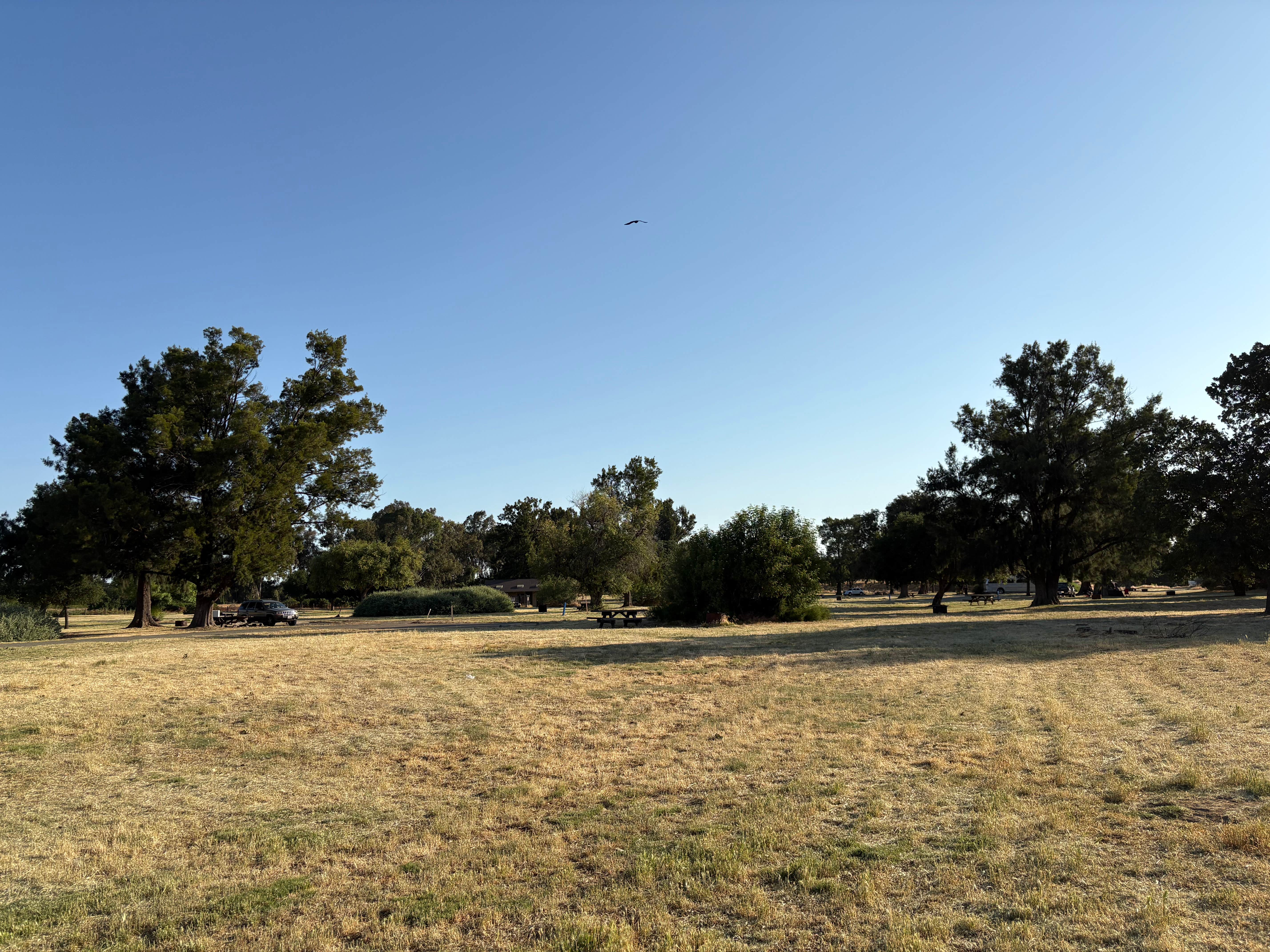 Camper submitted image from Willow Campground — Brannan Island State Recreation Area - 2