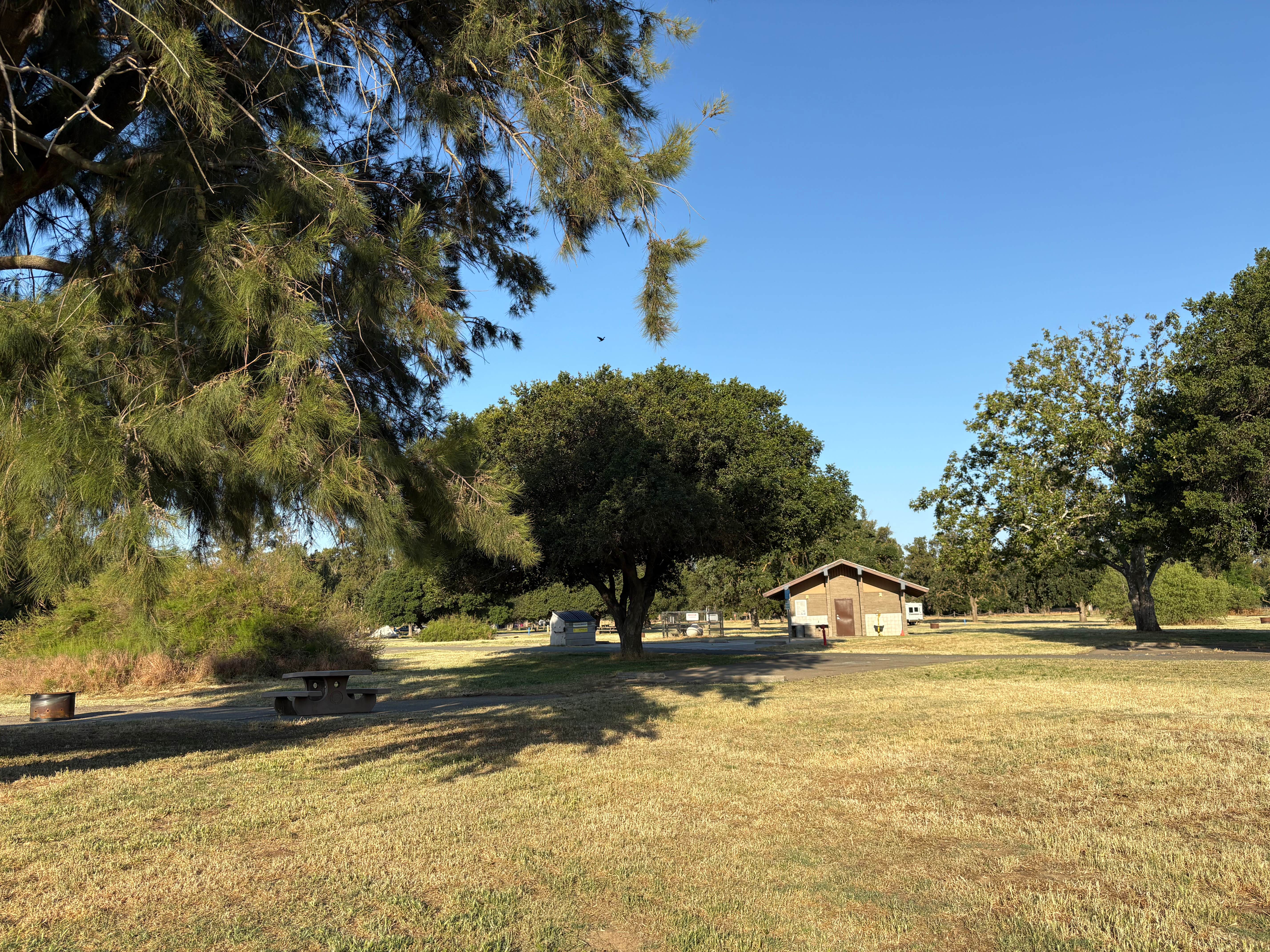 Camper-submitted photo at Willow Campground — Brannan Island State Recreation Area near Pittsburg, CA