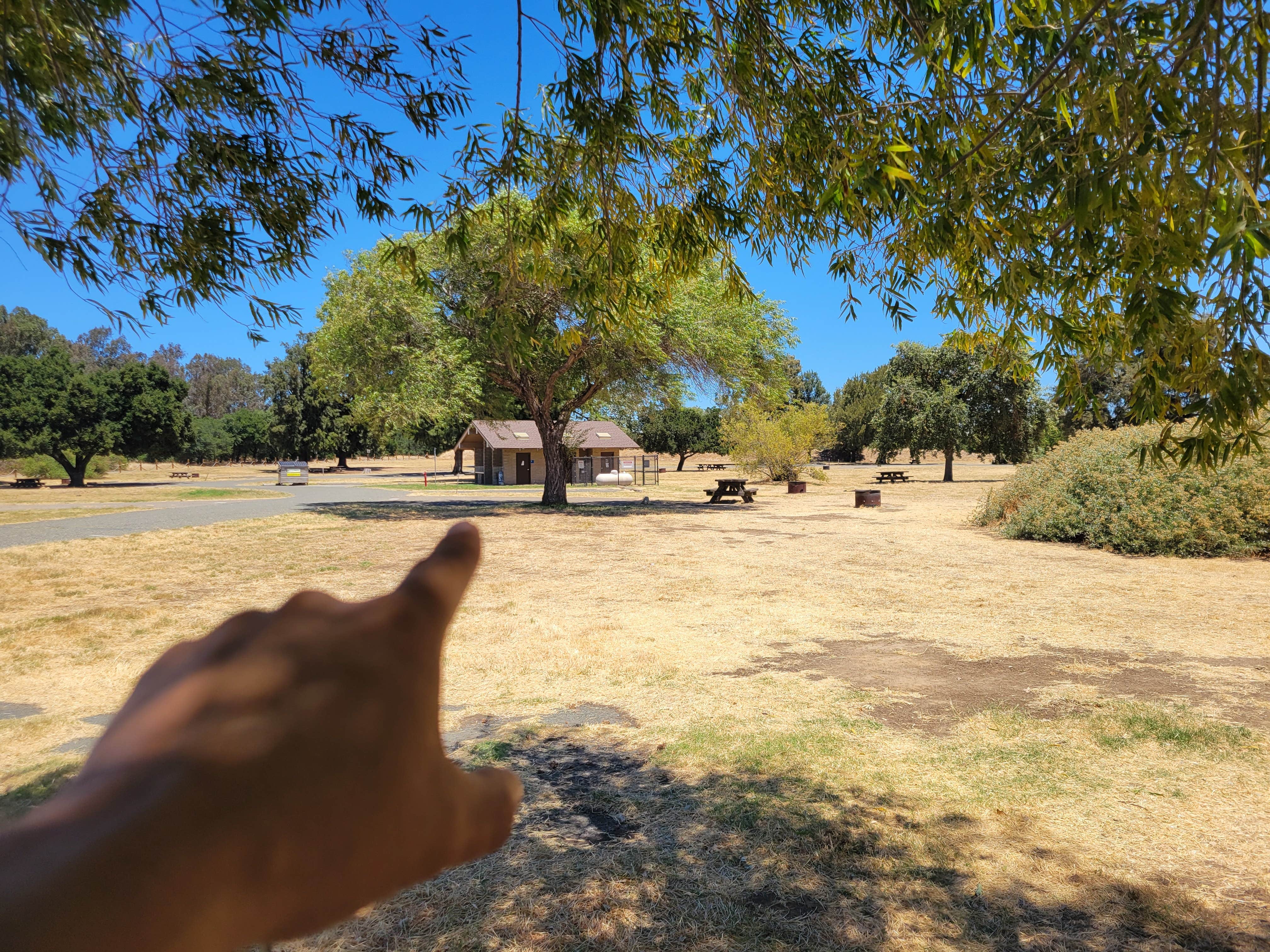 Camper-submitted photo at Willow Campground — Brannan Island State Recreation Area near Antioch, CA