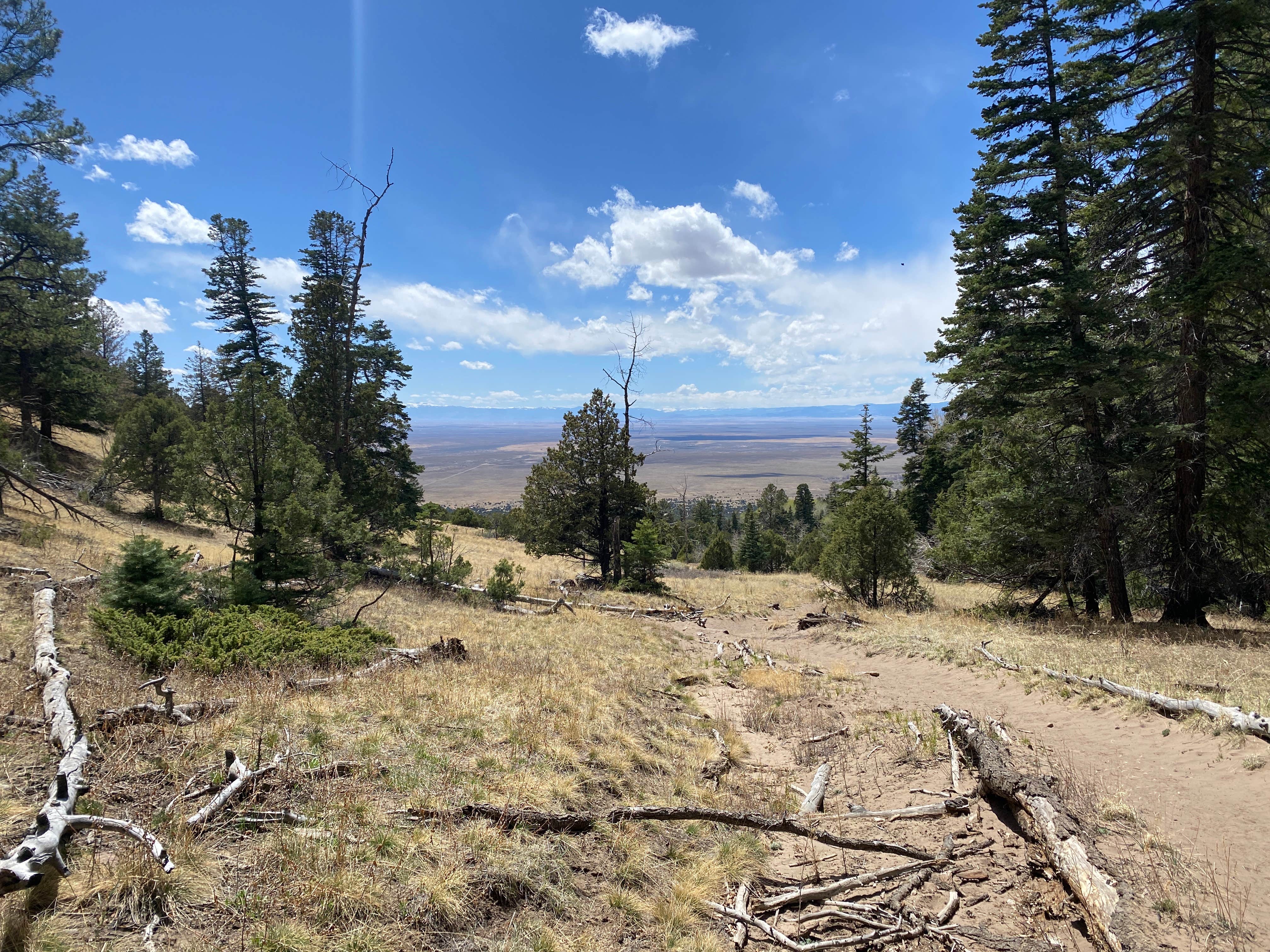 Camper-submitted photo at Willow Creek Trail near Mosca, CO