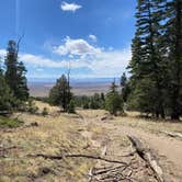 Review photo of Willow Creek Trail by Silouan A., April 28, 2025