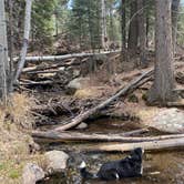 Review photo of Willow Creek Trail by Silouan A., April 28, 2025
