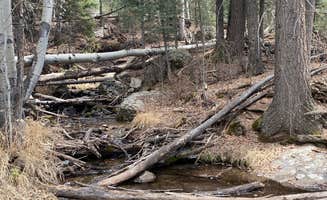 Silouan A.'s photo of camping with pets at Willow Creek Trail near Great Sand Dunes National Park And Preserve