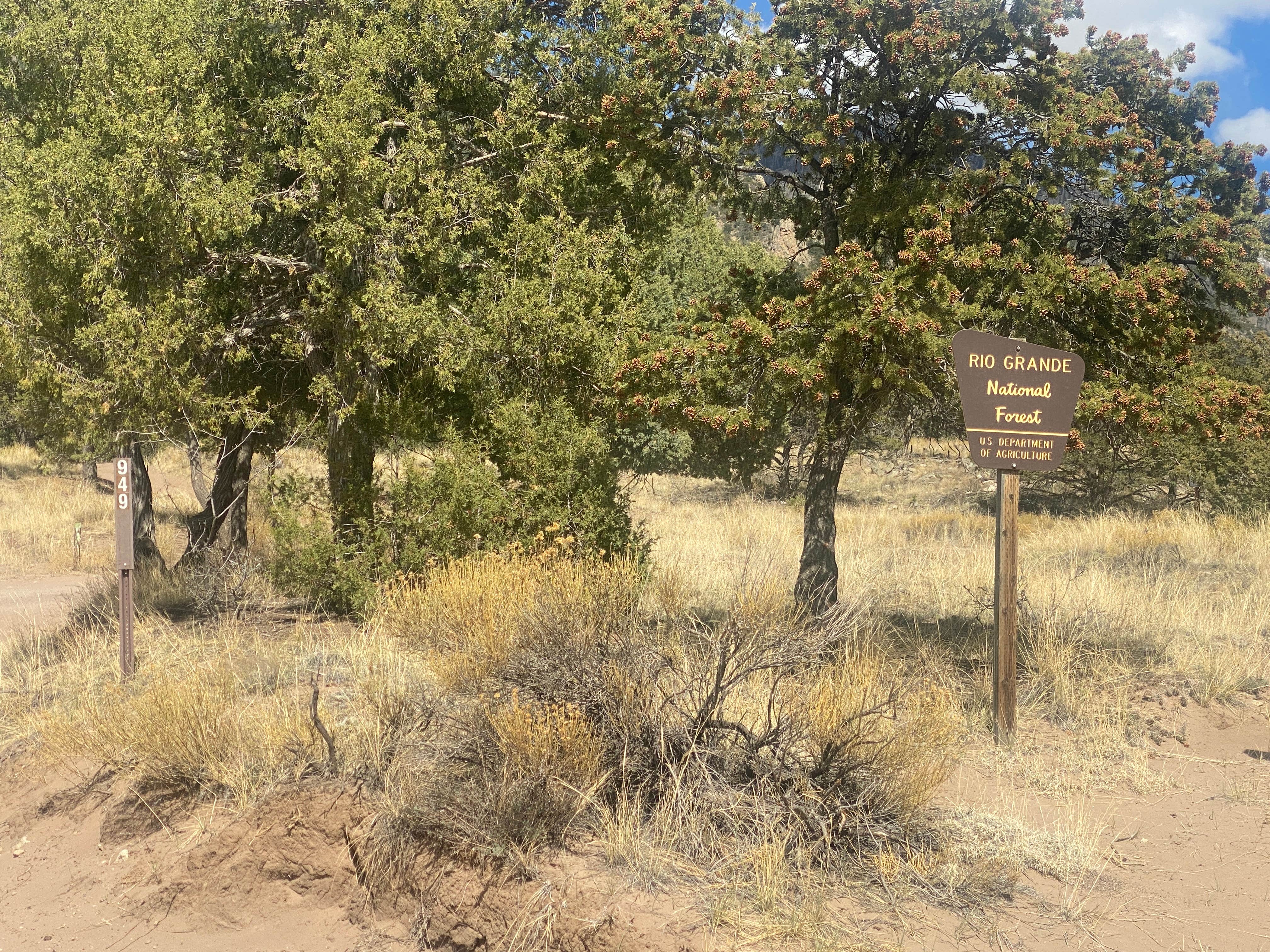 Camper-submitted photo at Willow Creek Trail near Mosca, CO