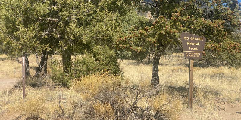 Camper submitted image from Willow Creek Trail