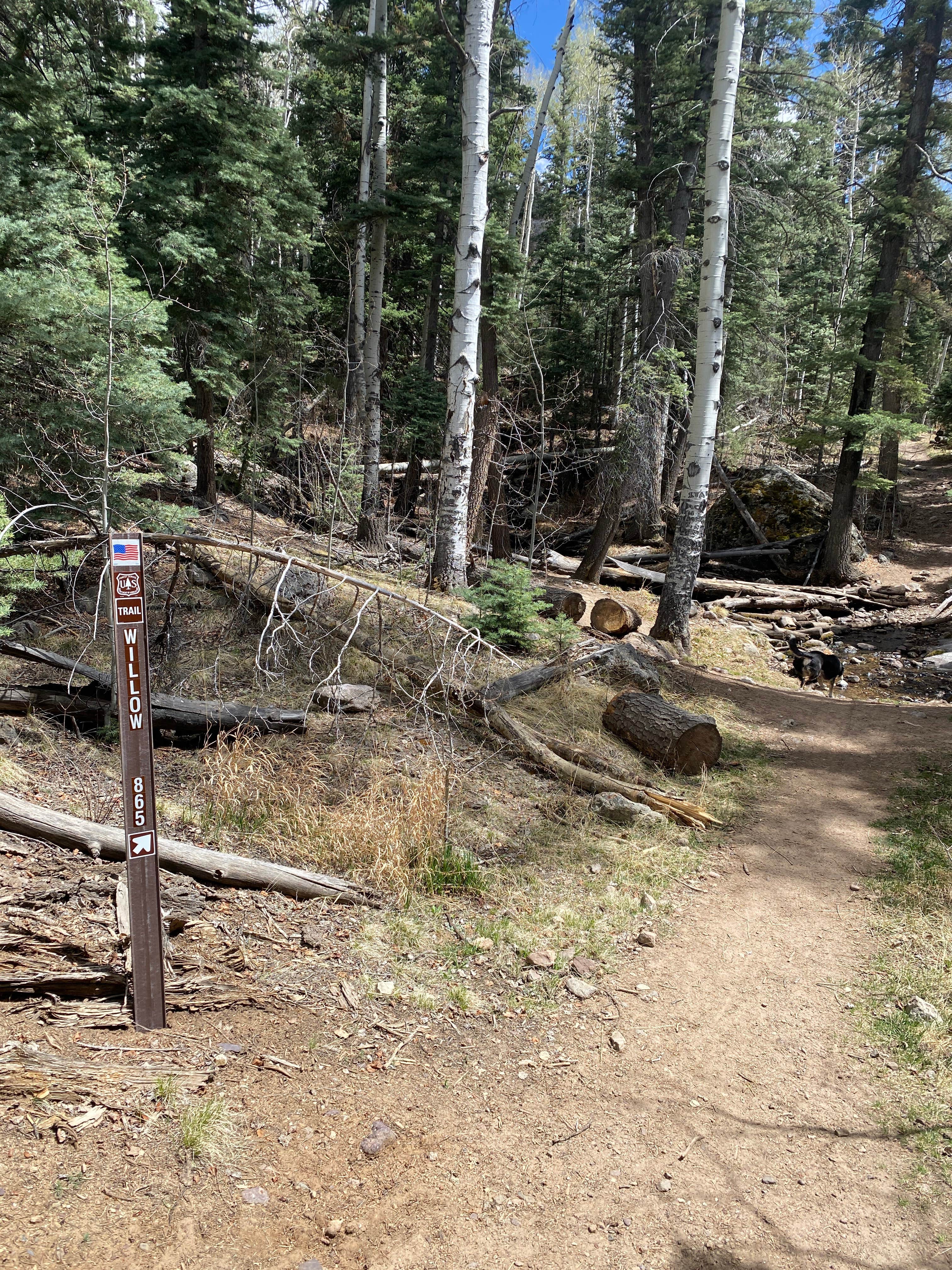 Camper-submitted photo at Willow Creek Trail near Mosca, CO