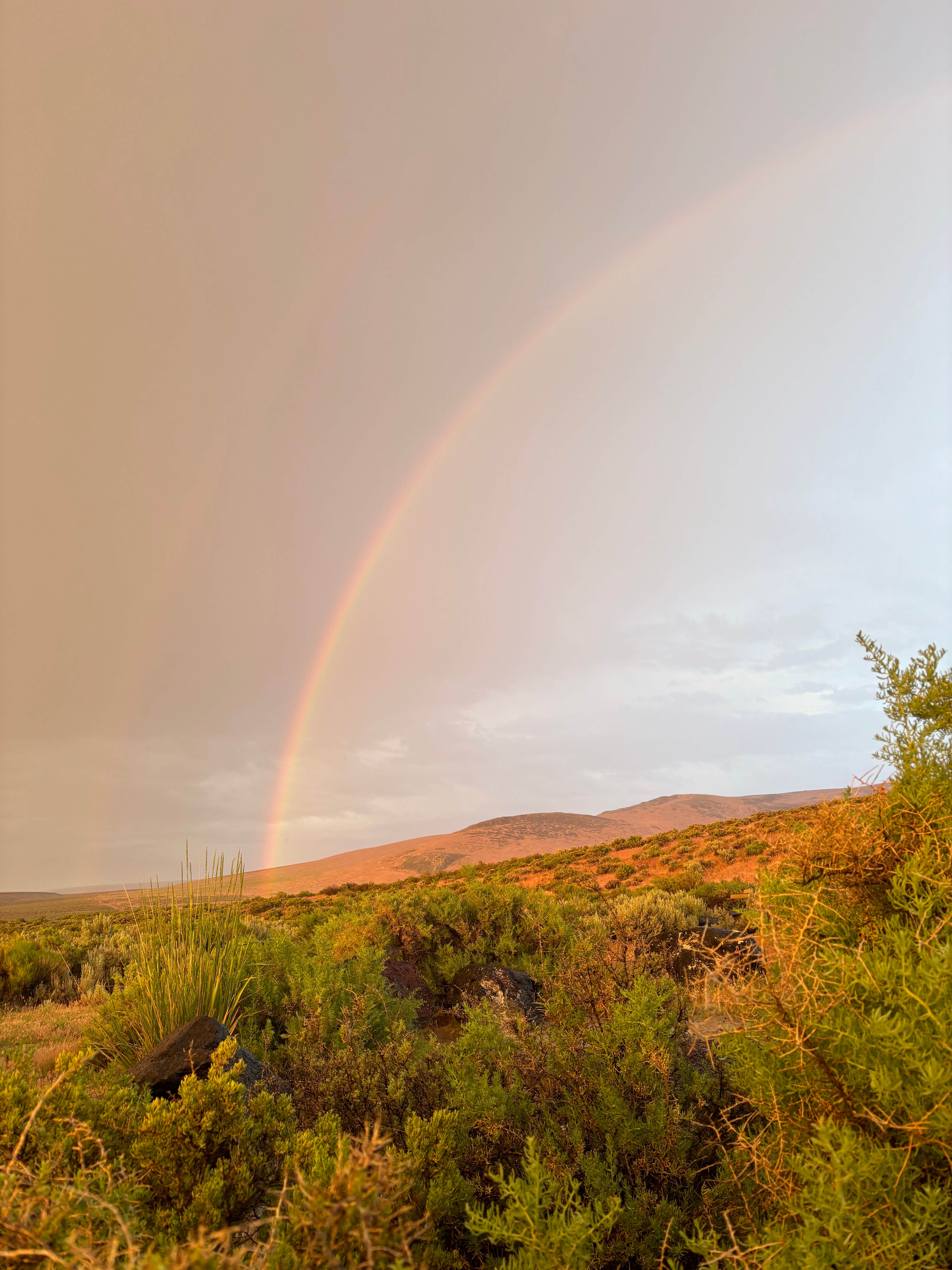 Camper-submitted photo at Willow Creek - Willow Creek Hot Springs near Denio, NV
