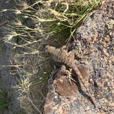 Review photo of Willow Creek - Willow Creek Hot Springs by Carly S., June 20, 2026