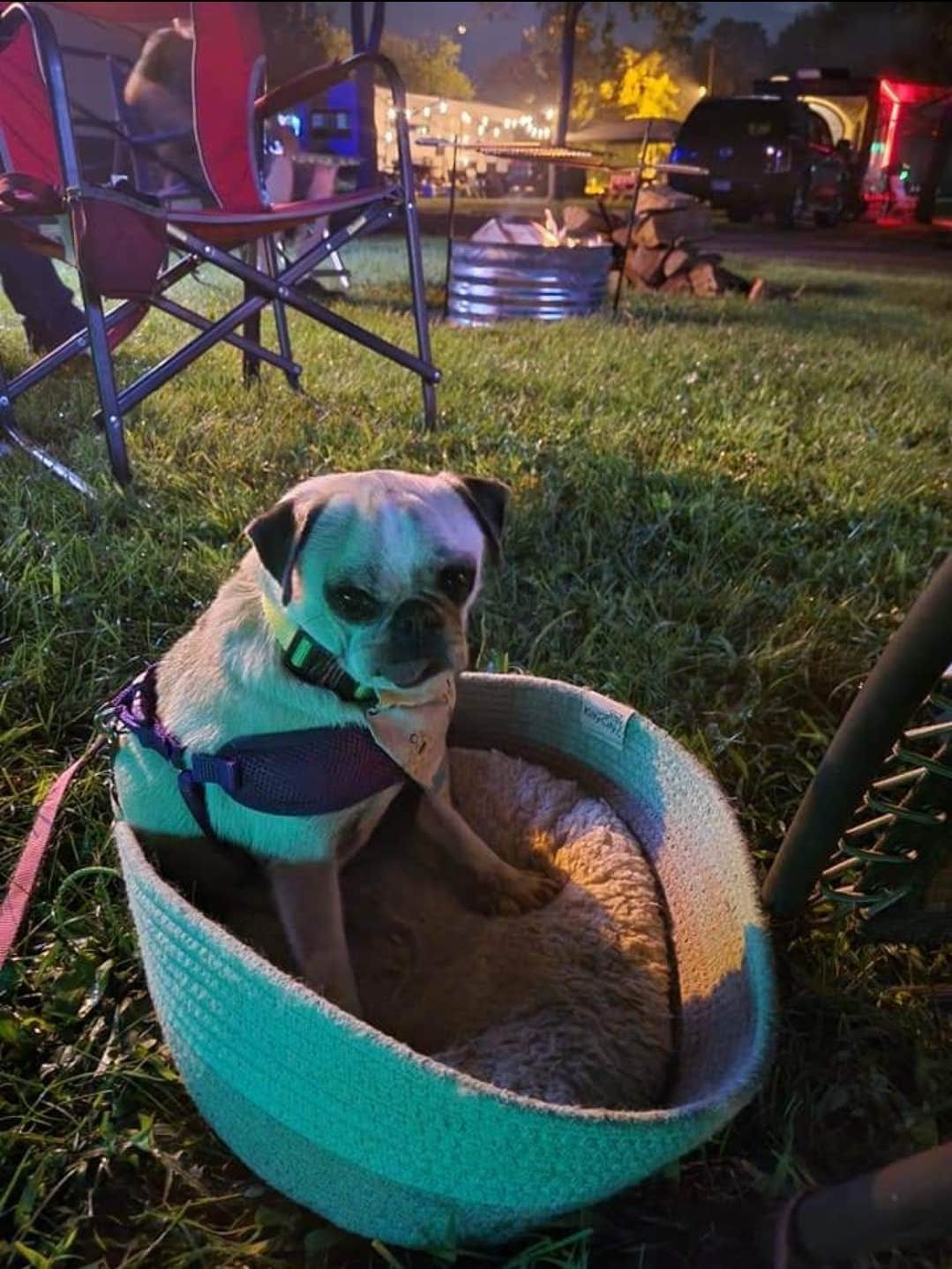 Camping near Deer's Leap Winery: Willow Lake Campground, Madison, Ohio