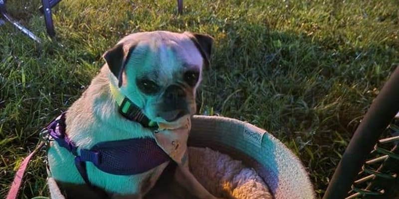 Camper submitted image from Willow Lake Campground