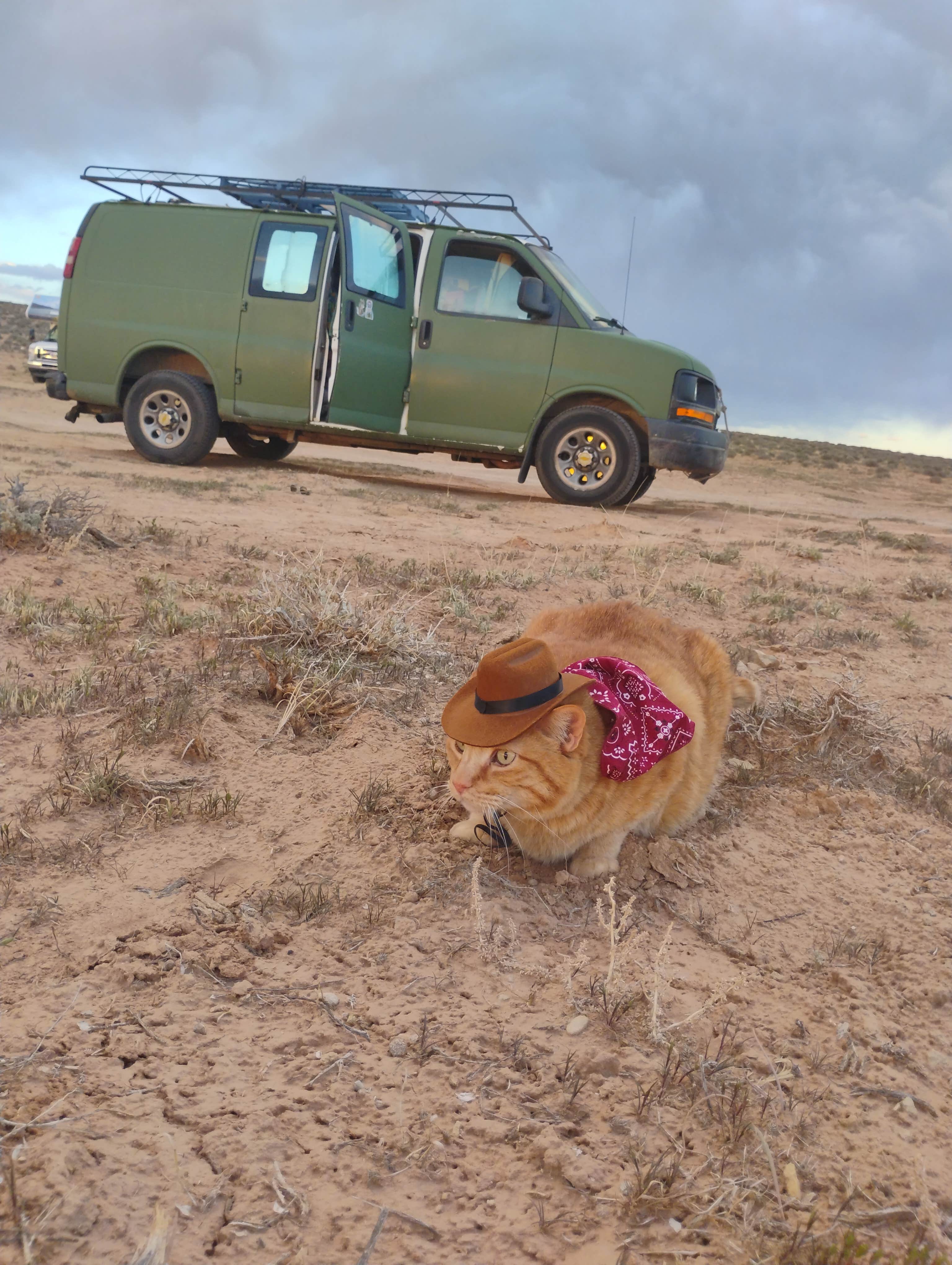 atea J.'s photo of camping with pets at South Klondike Bluffs / Road 142 Dispersed near Arches National Park