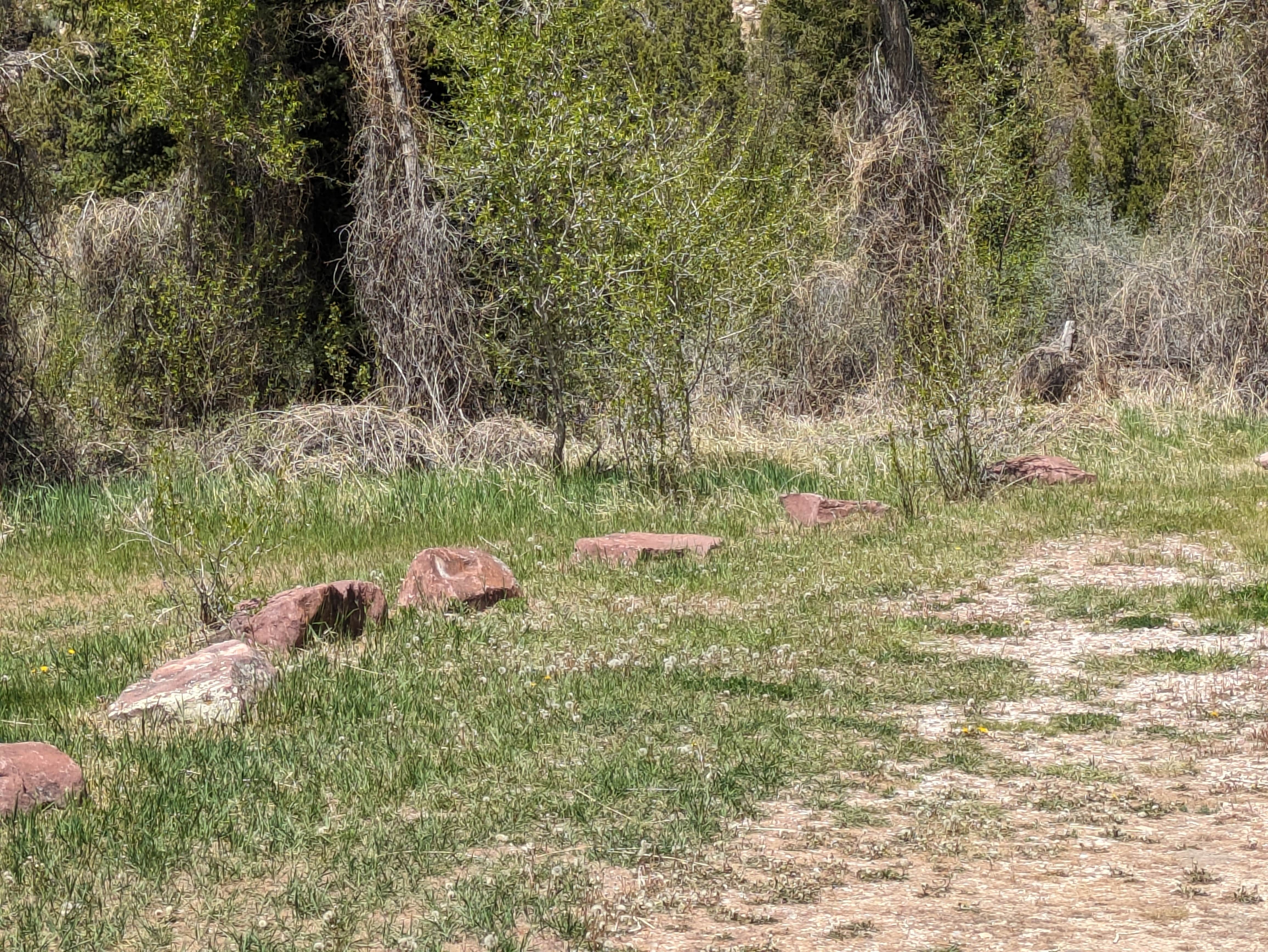 Camper-submitted photo at Willows Campground near Manila, UT