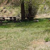 Review photo of Willows Campground by Greg L., May 18, 2024