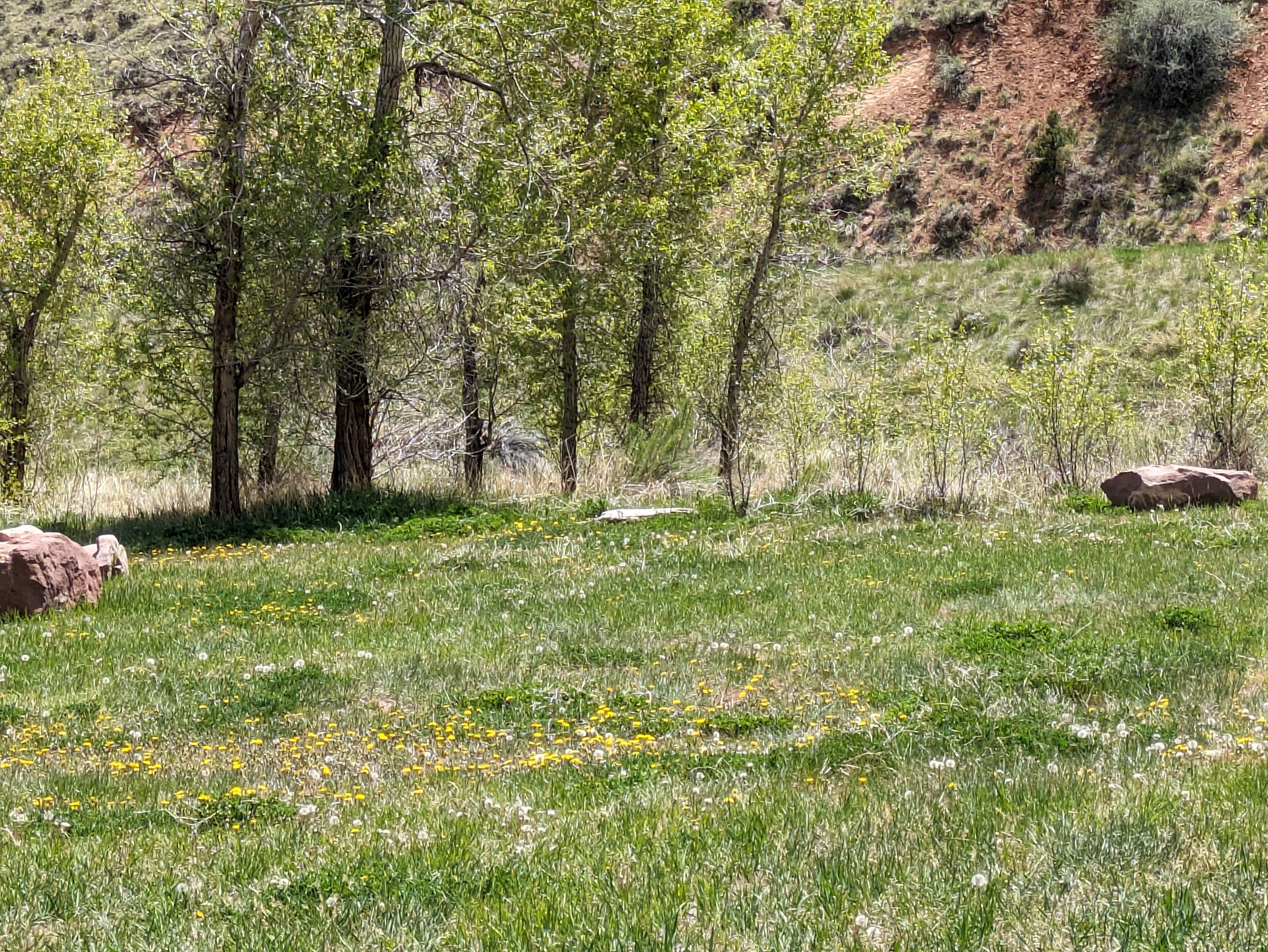 Camper-submitted photo at Willows Campground near Manila, UT