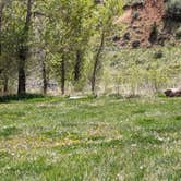 Review photo of Willows Campground by Greg L., May 18, 2024