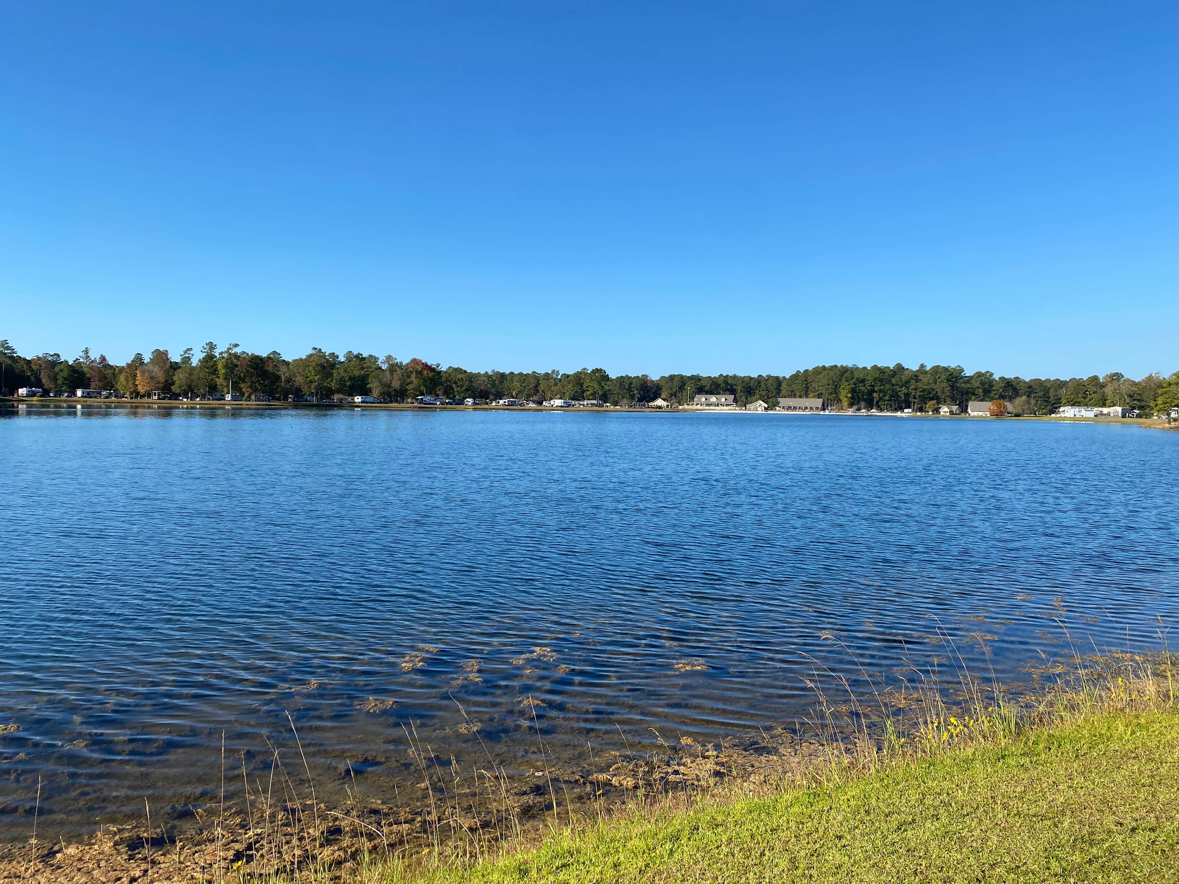 Camper-submitted photo at Willow Tree RV Resort near Leland, NC