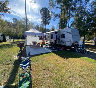 Camper-submitted photo from Willow Tree RV Resort