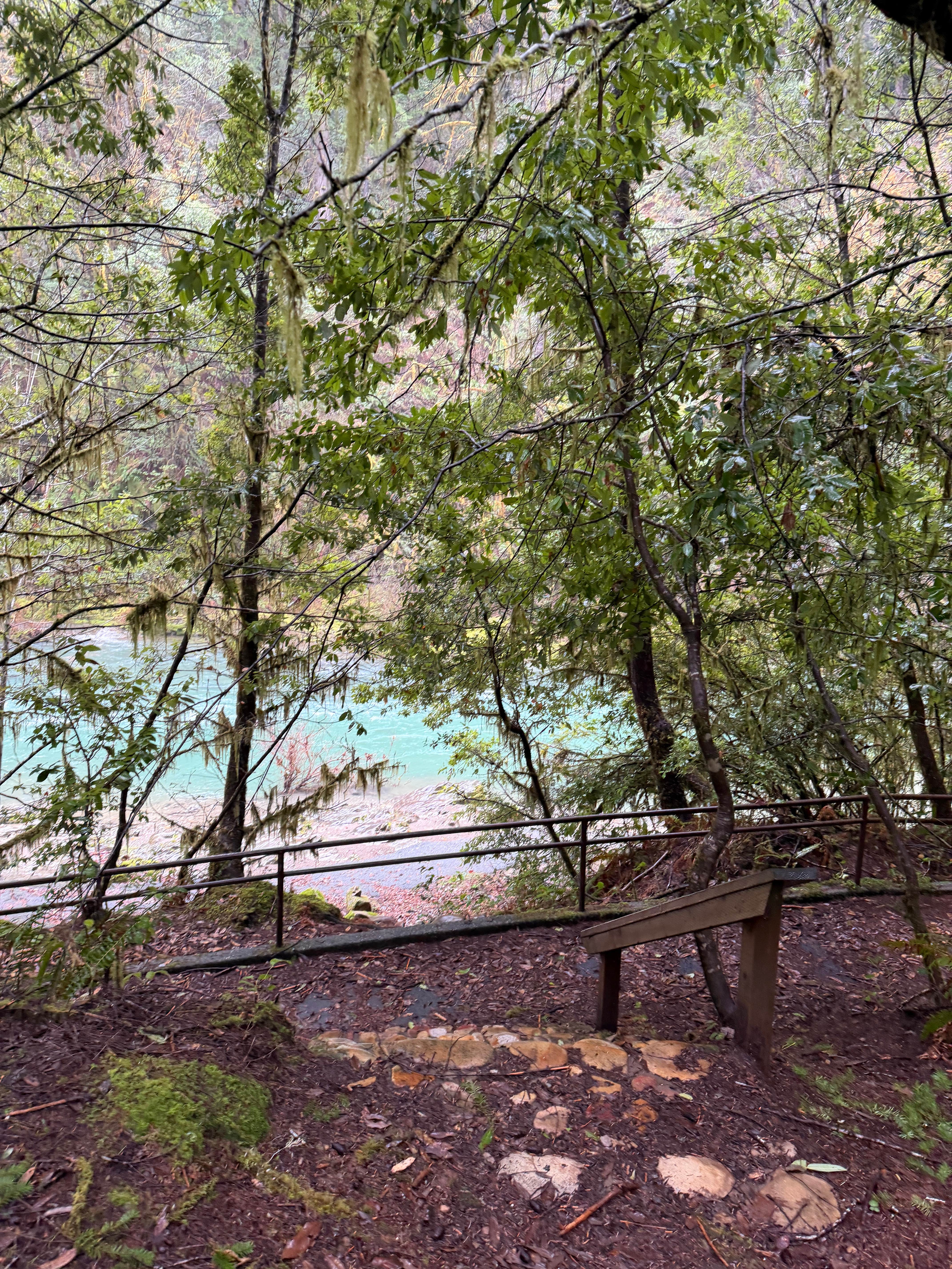 Camper-submitted photo at winchuck bear creek dispersed near Gasquet, CA