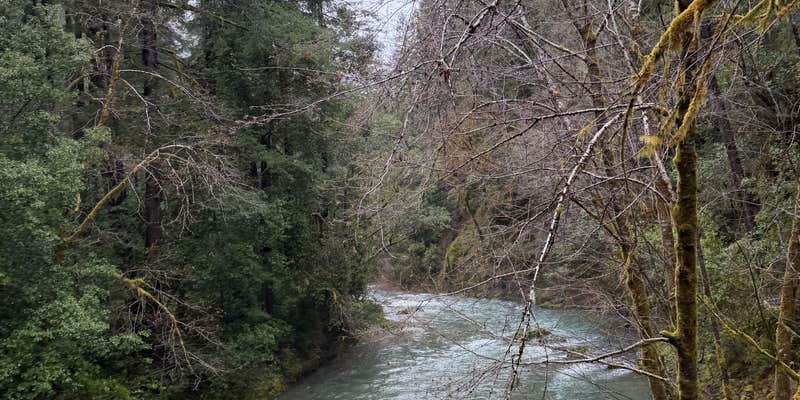 Camper submitted image from winchuck bear creek dispersed