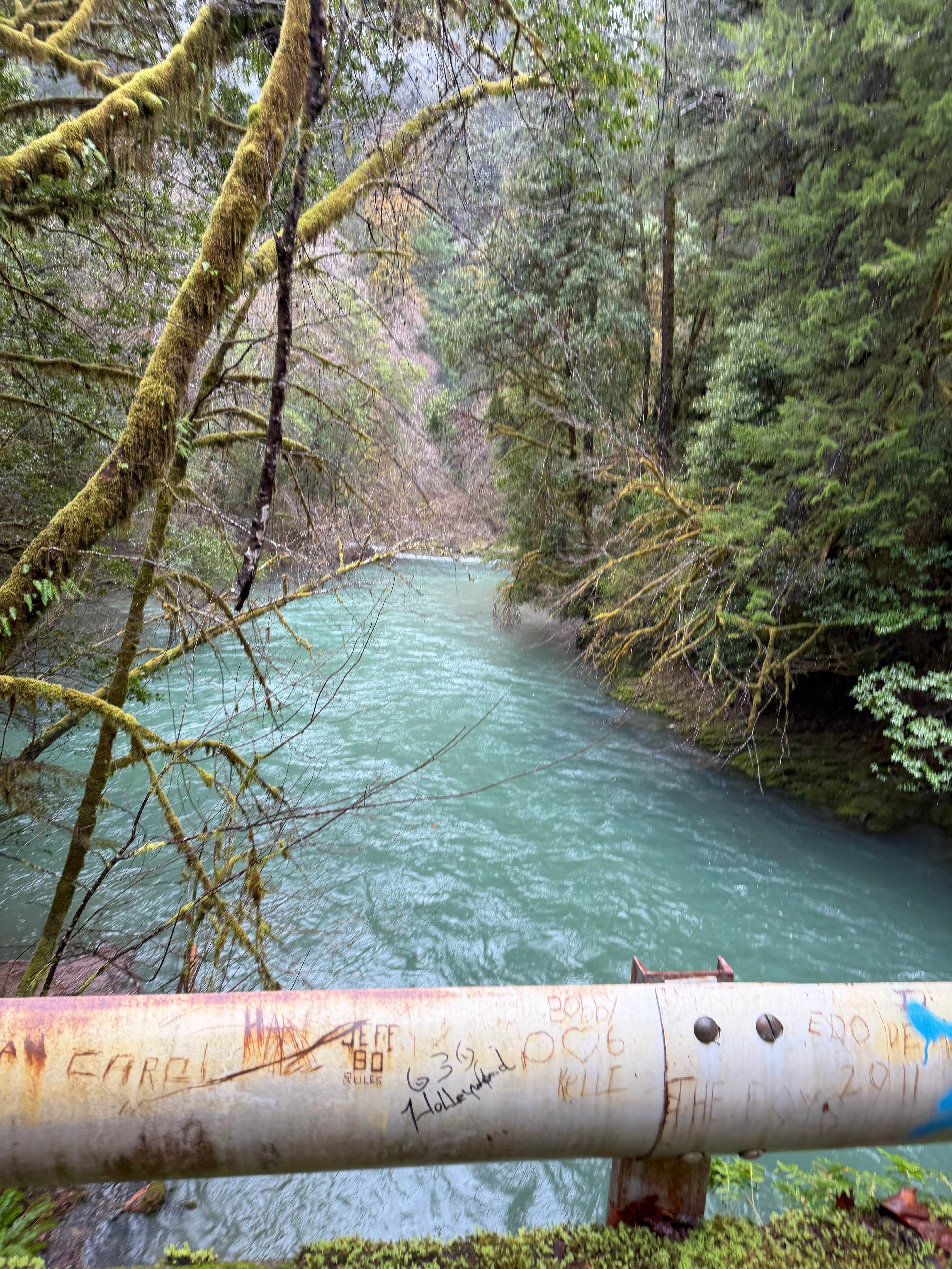 Camper-submitted photo at winchuck bear creek dispersed near Gasquet, CA