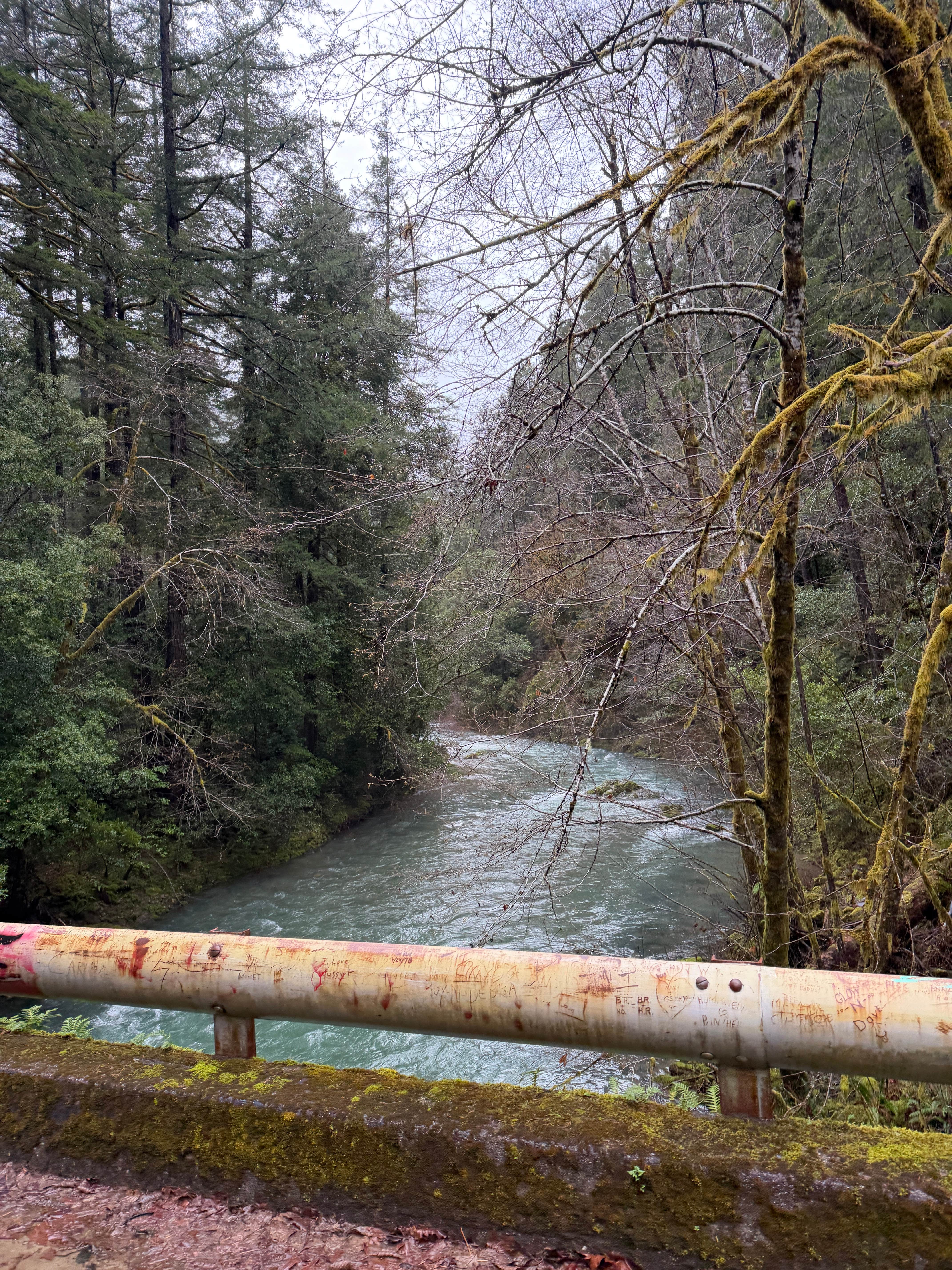 Camper-submitted photo at winchuck bear creek dispersed near Gasquet, CA