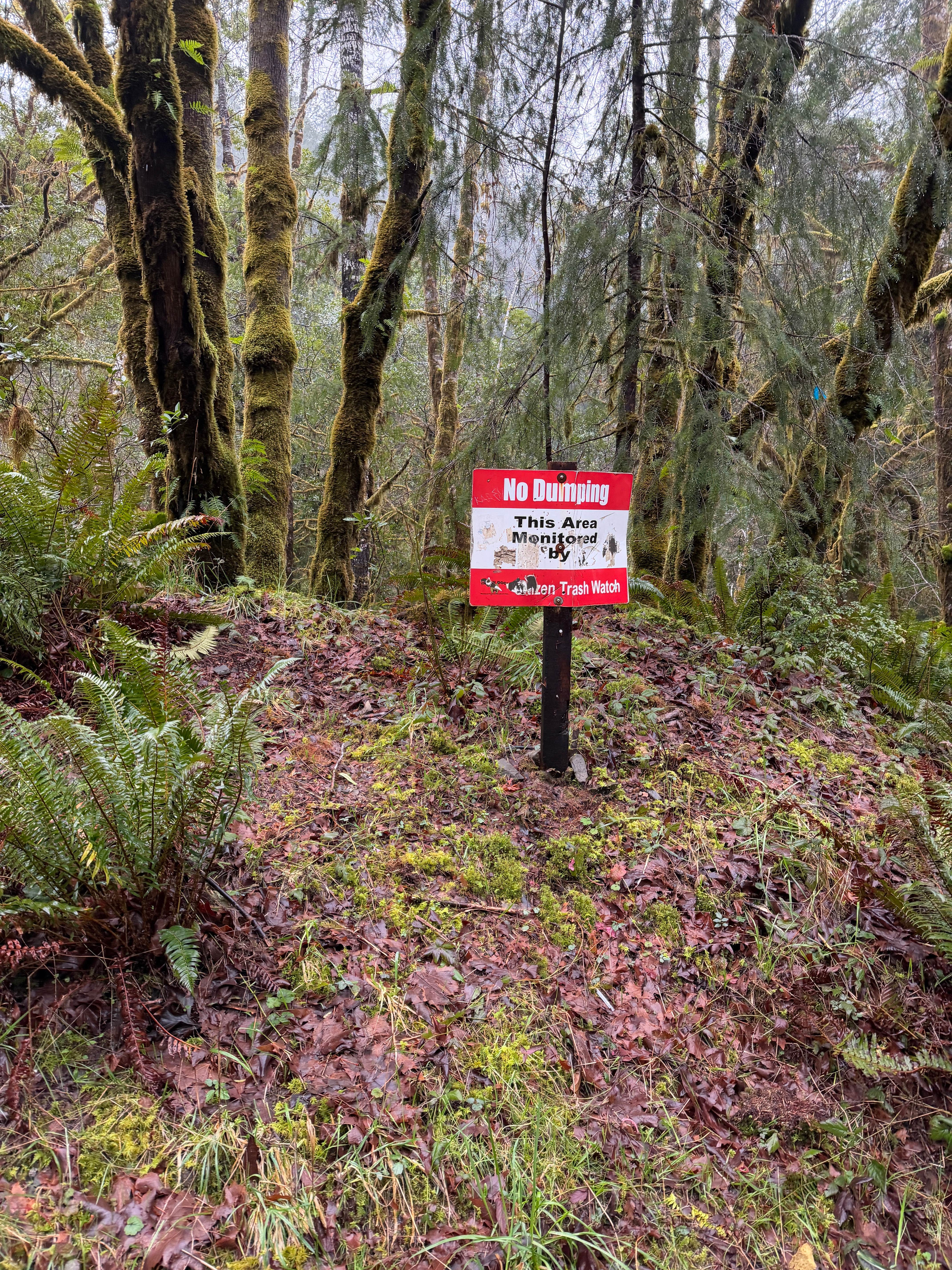 Camper-submitted photo at winchuck bear creek dispersed near Gasquet, CA