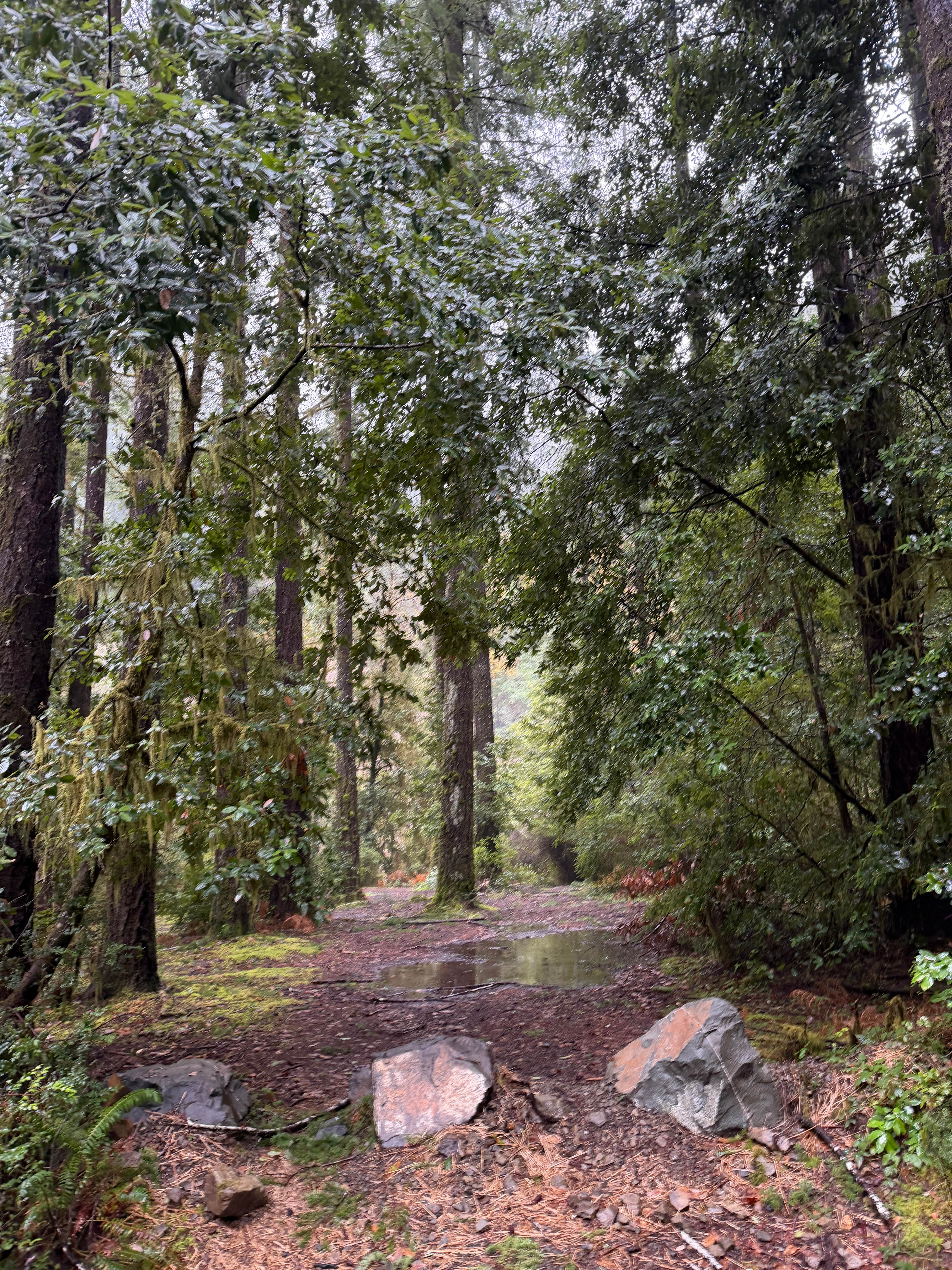 winchuck bear creek dispersed