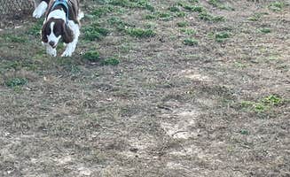 Joel R.'s photo of camping with pets at Wind Creek Atmore Casino RV Park near Selma, AL