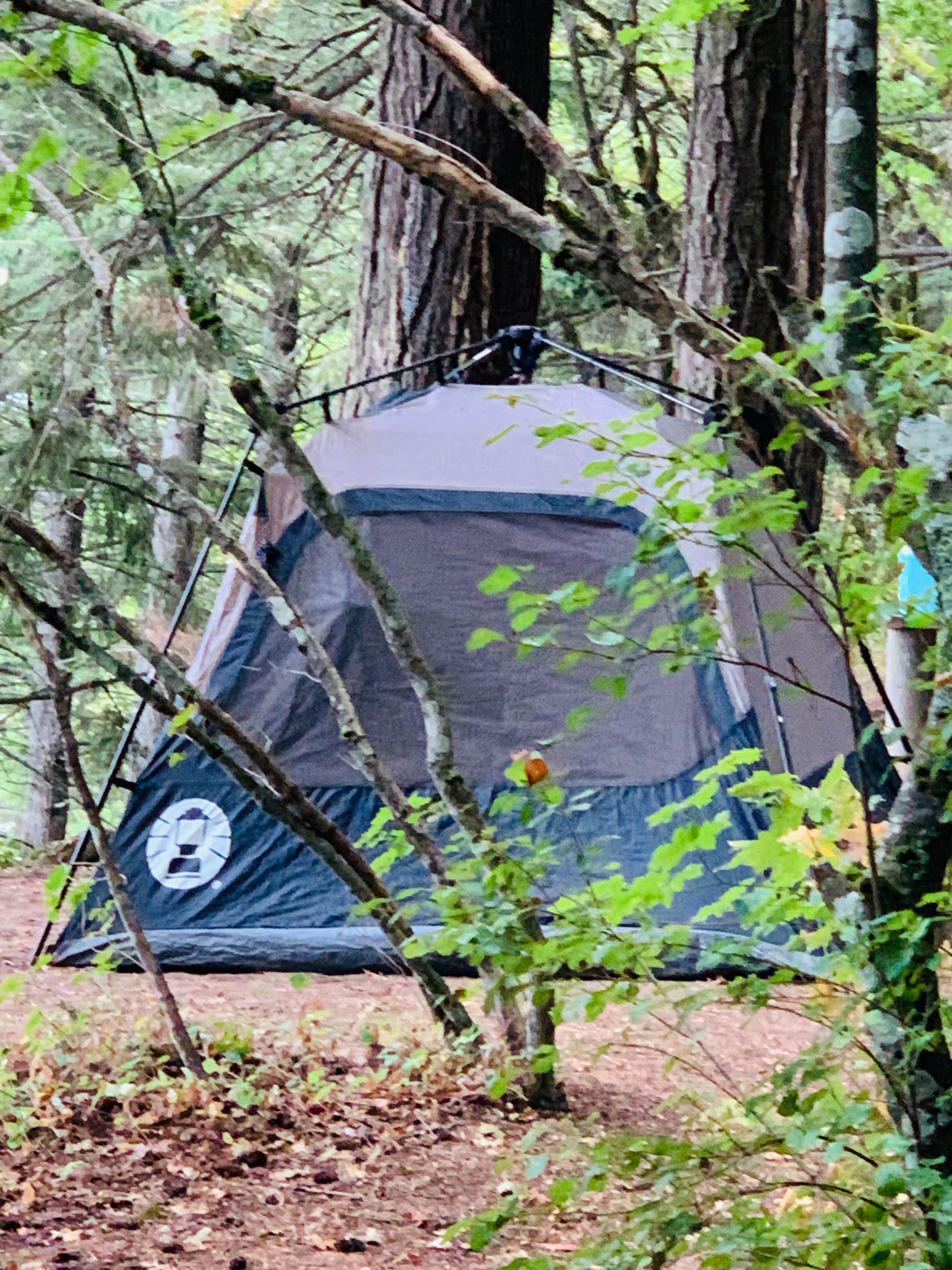 Camper submitted image from Wind Mountain RV Park - 1