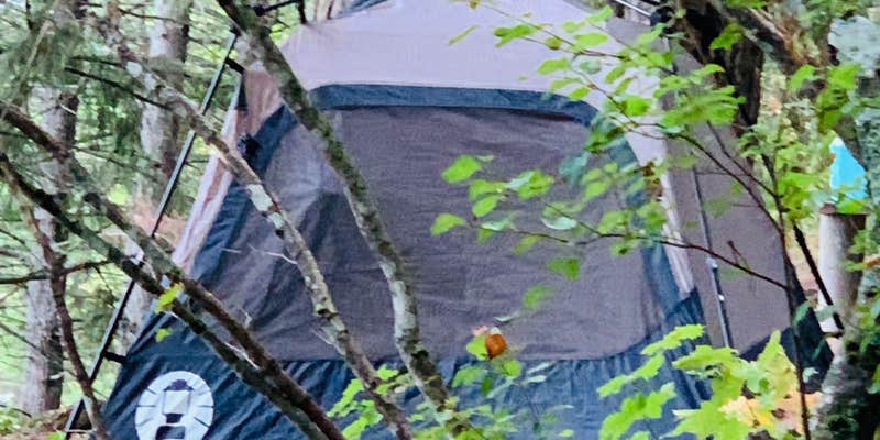 Camper submitted image from Wind Mountain RV Park