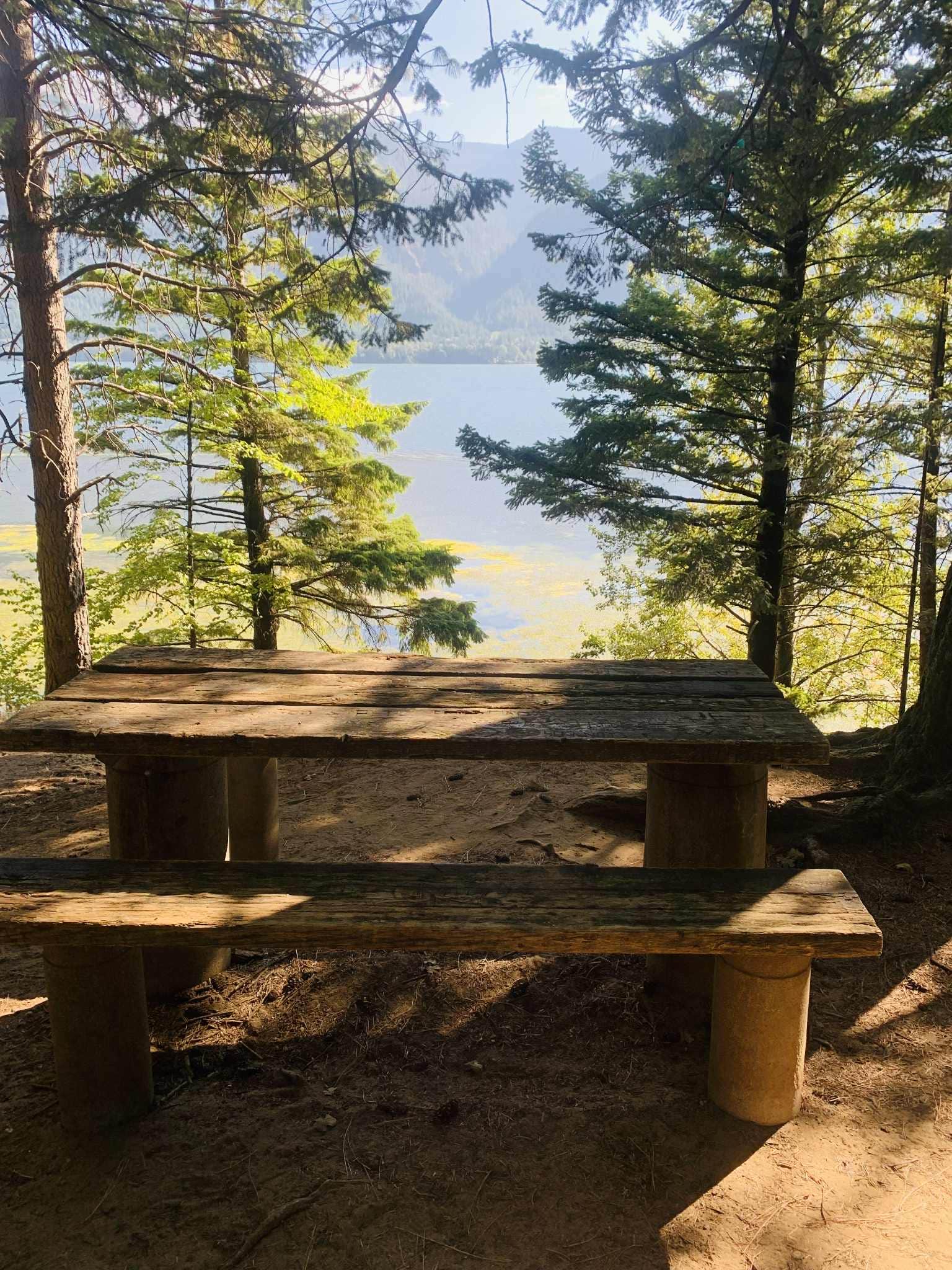 Camper-submitted photo at Wind Mountain RV Park near Stevenson, WA