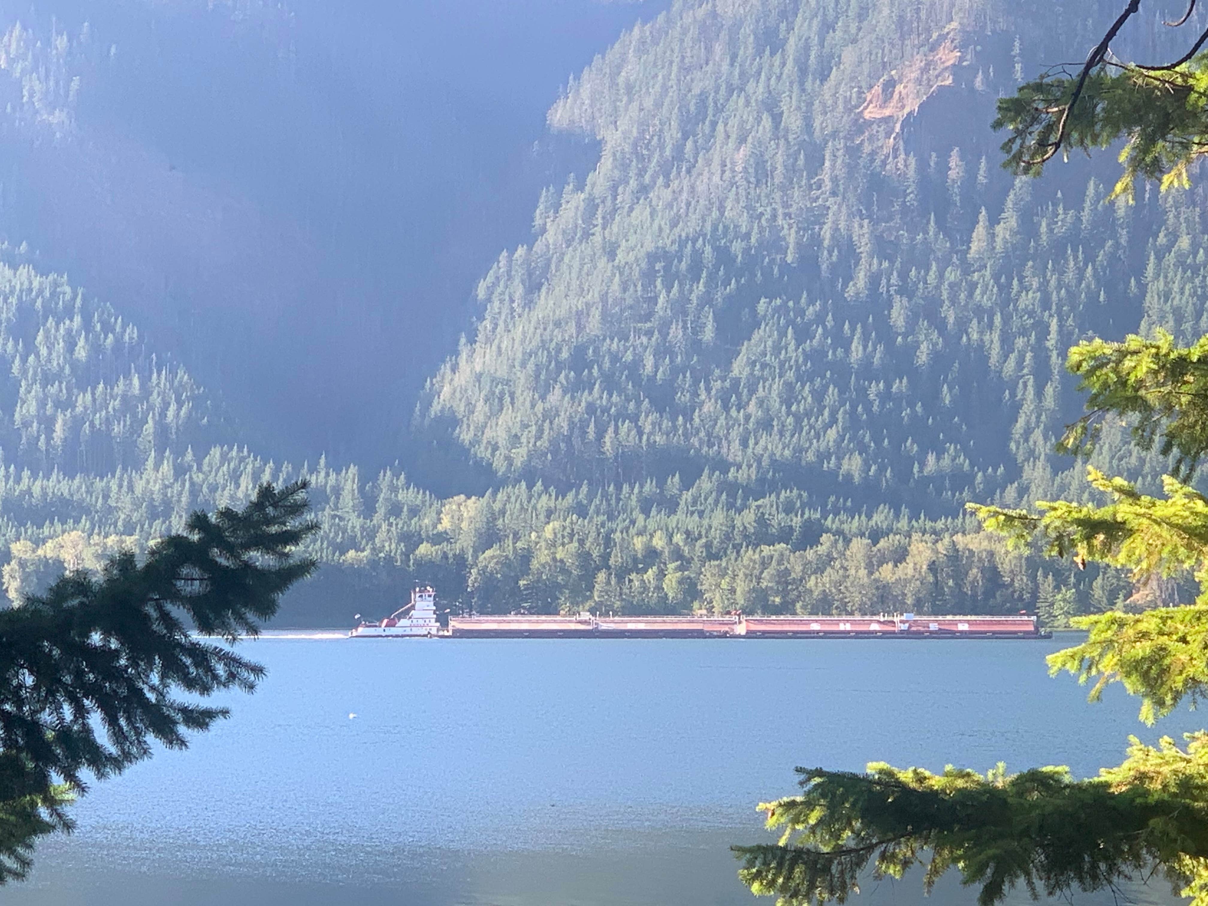 Camper-submitted photo at Wind Mountain RV Park near Stevenson, WA