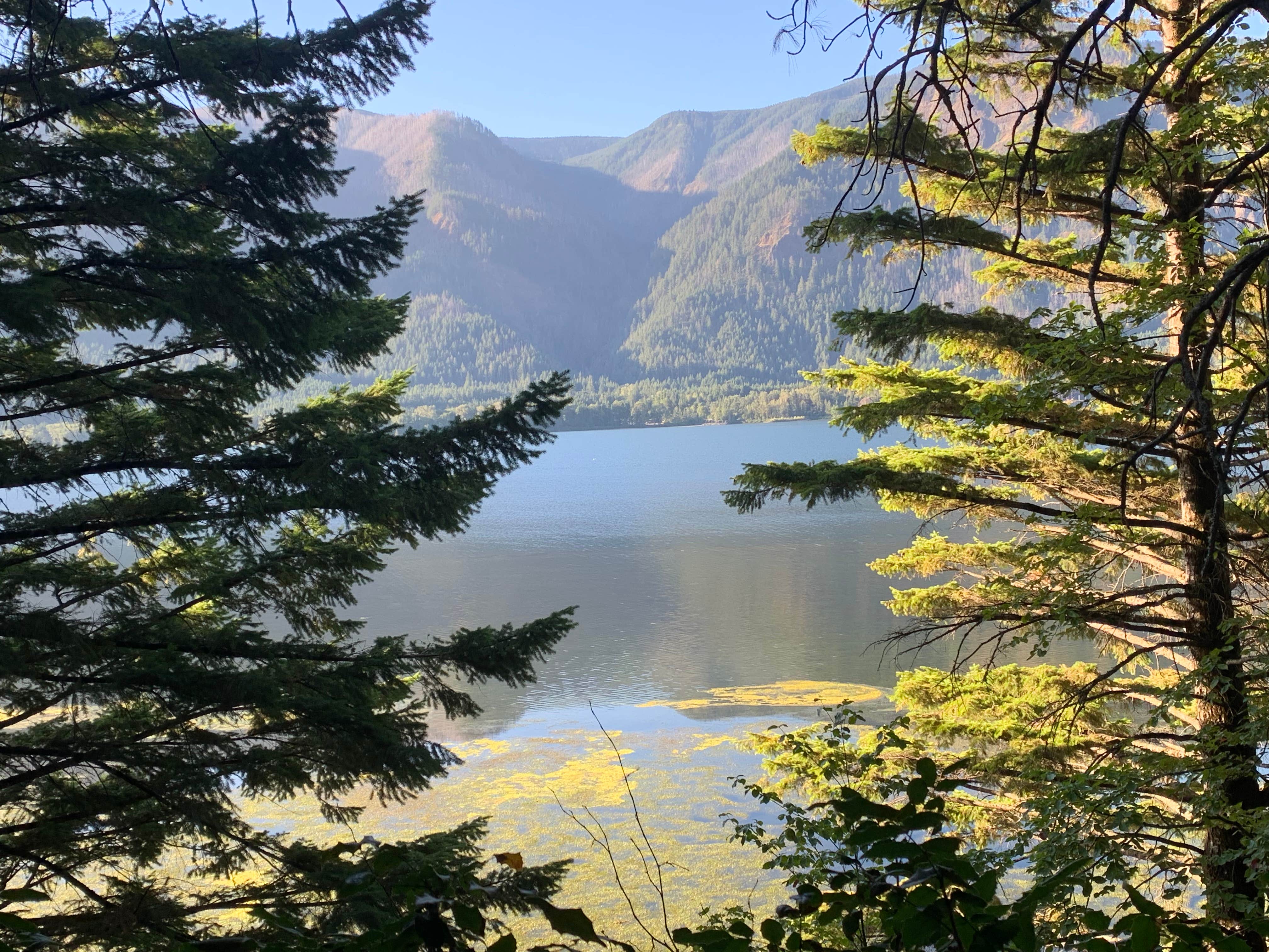 Camper-submitted photo at Wind Mountain RV Park near Stevenson, WA