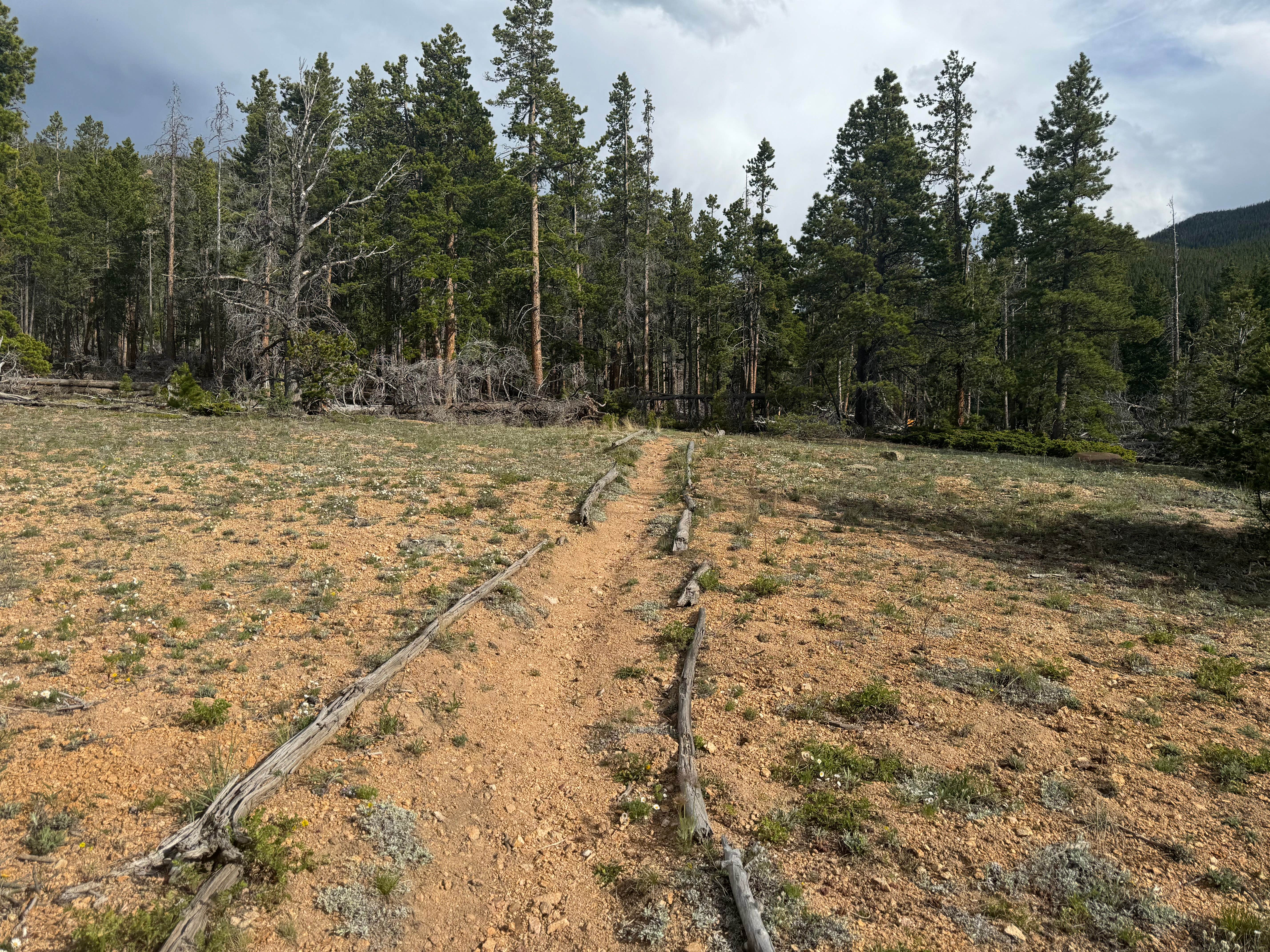 Camper-submitted photo at Wind River Bluff near Glen Haven, CO