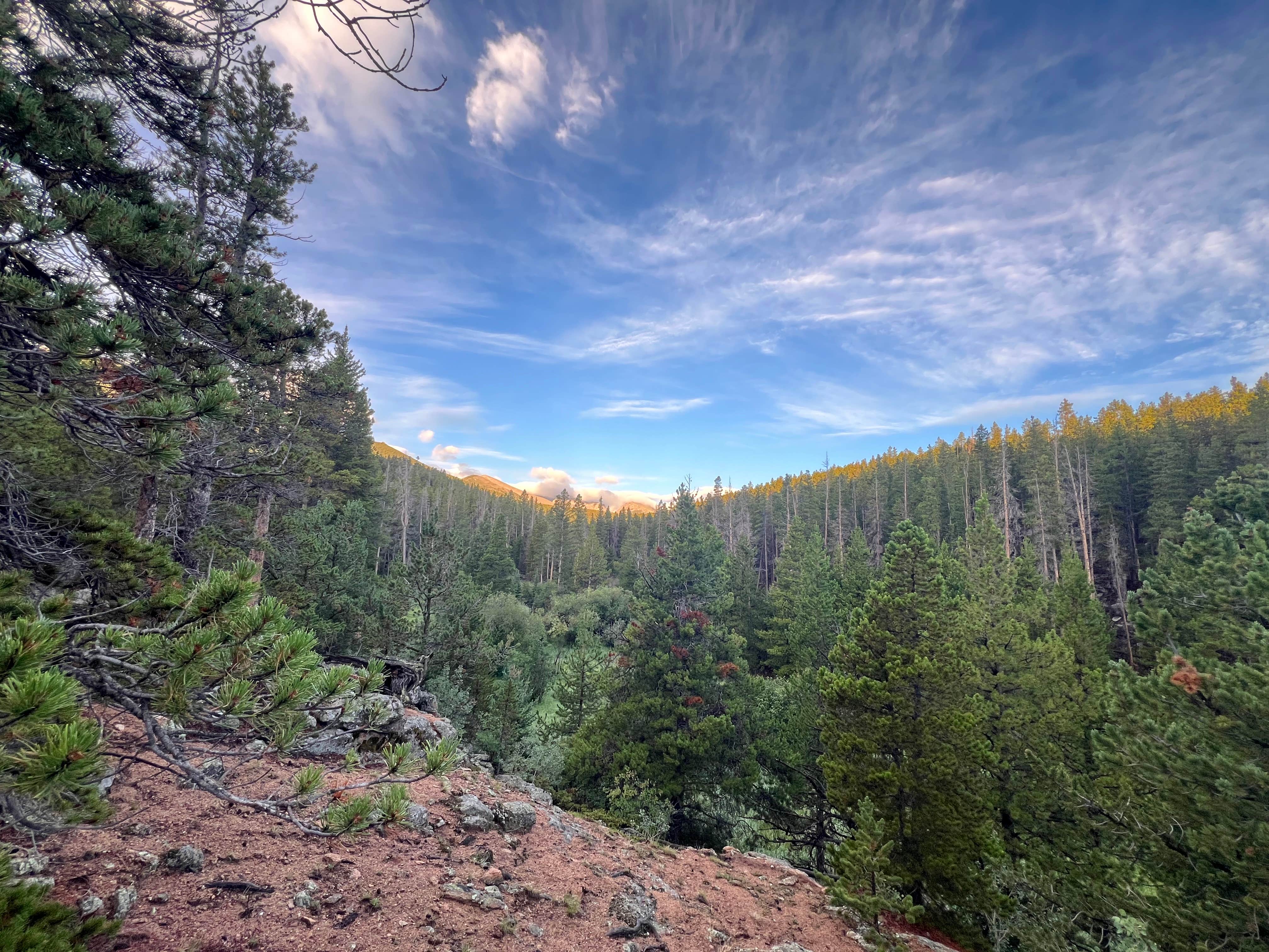 Camping near Elk Meadows Lodge & RV Resort: Wind River Bluff, Estes Park, Colorado
