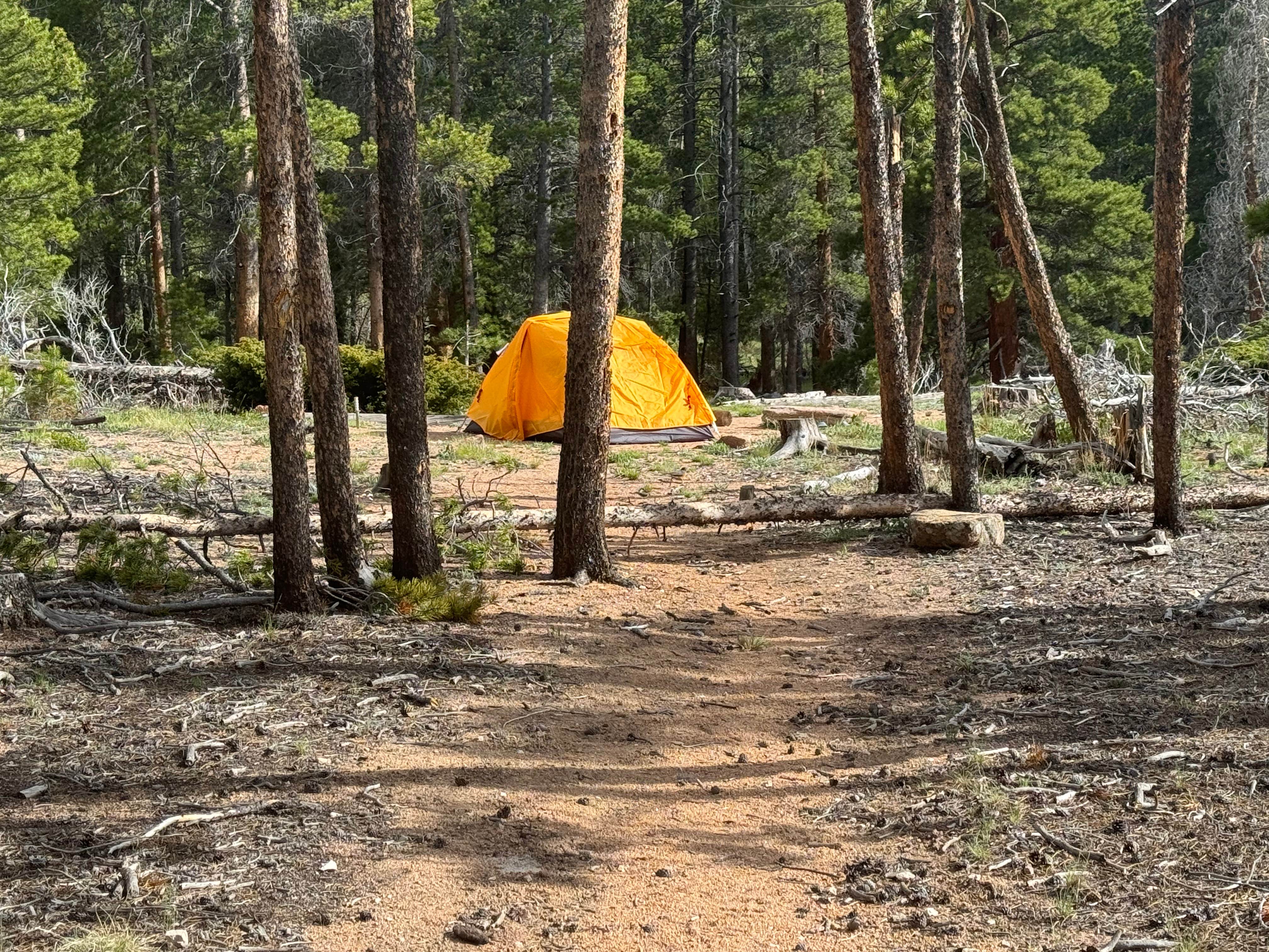 SCOTT V.'s photo of tent camping at Wind River Bluff near Estes Park, CO