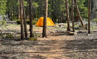 SCOTT V.'s photo of tent camping at Wind River Bluff near Johnstown, CO